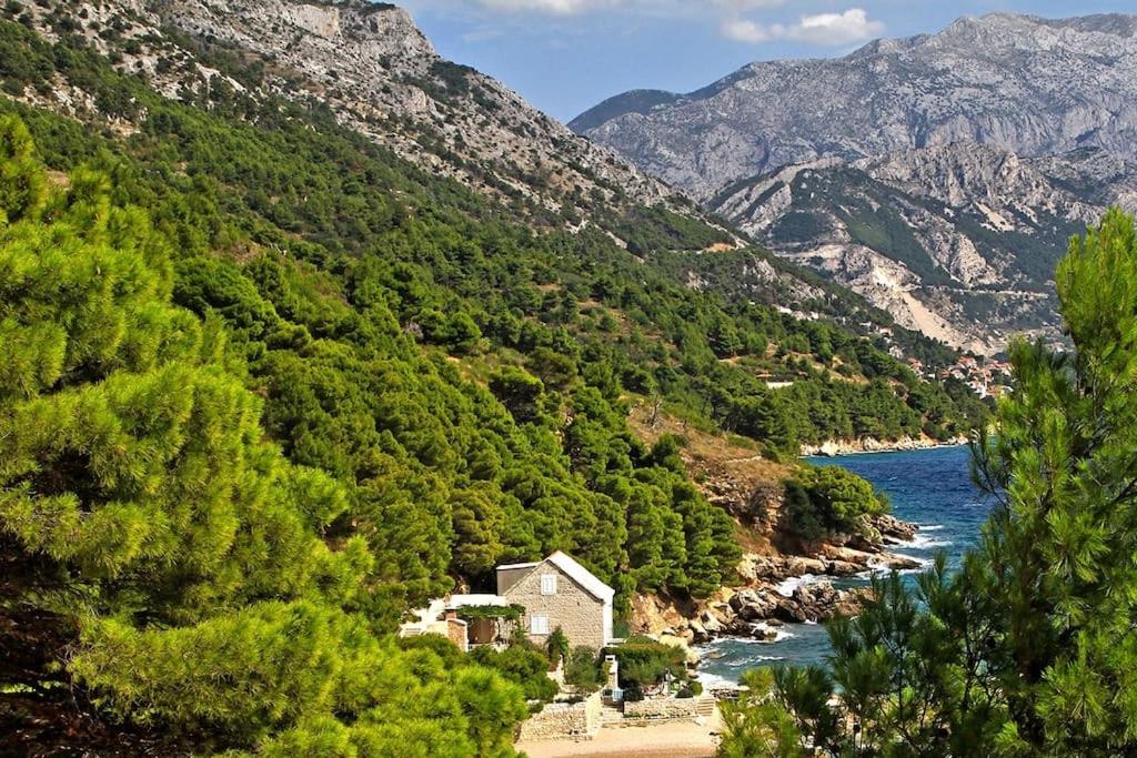 Beachouse Dalmatia in secluded bay, Croatias best photo 1