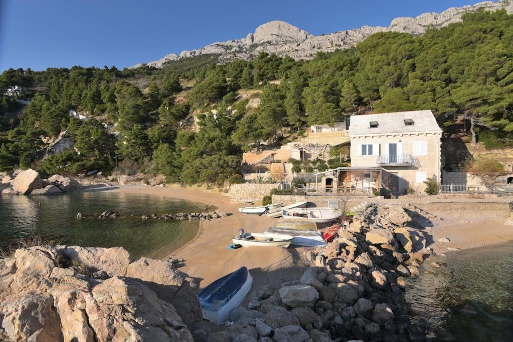 Beachouse Dalmatia in secluded bay, Croatias best photo 5