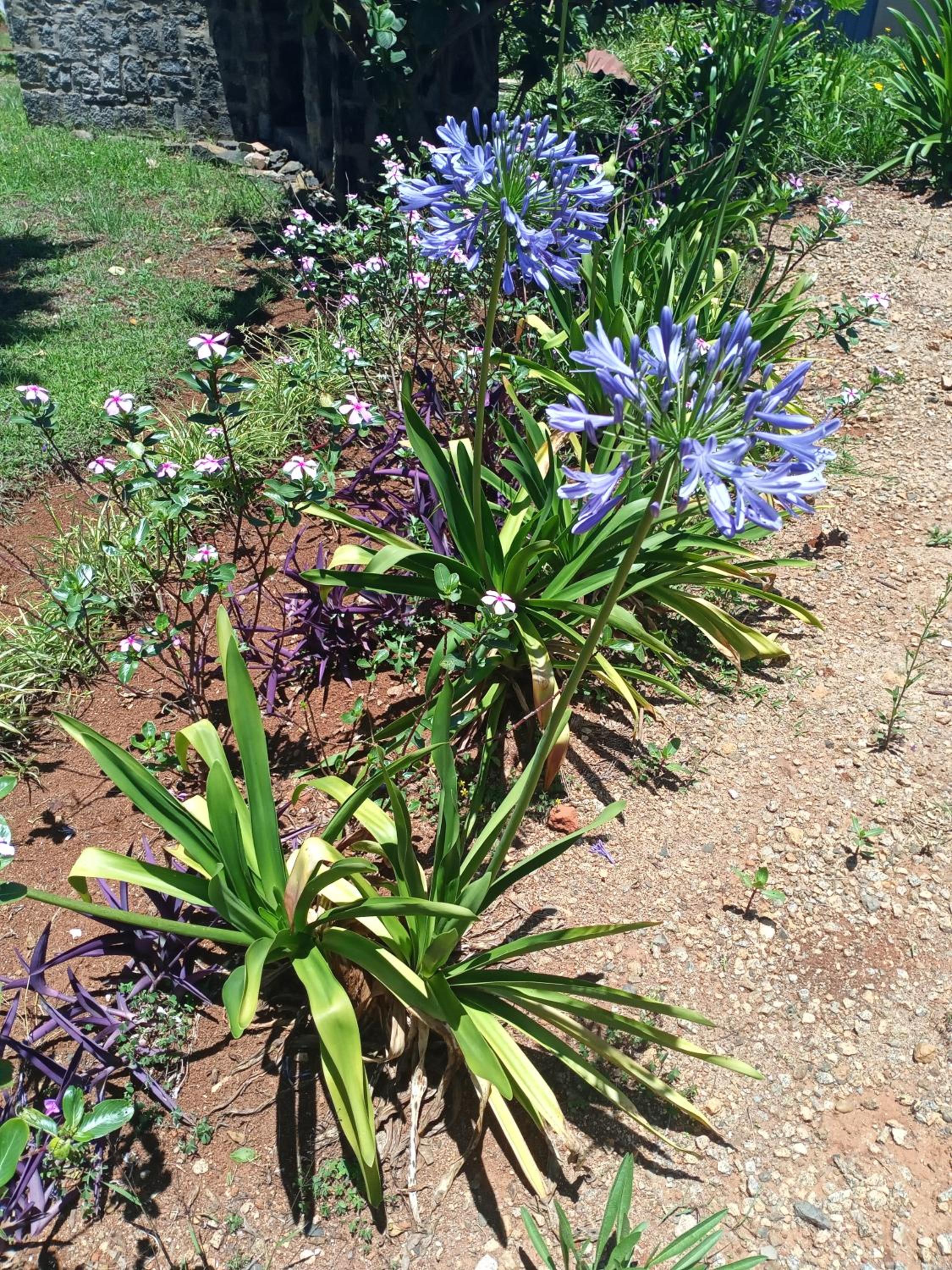 GARDEN HOLiDAY