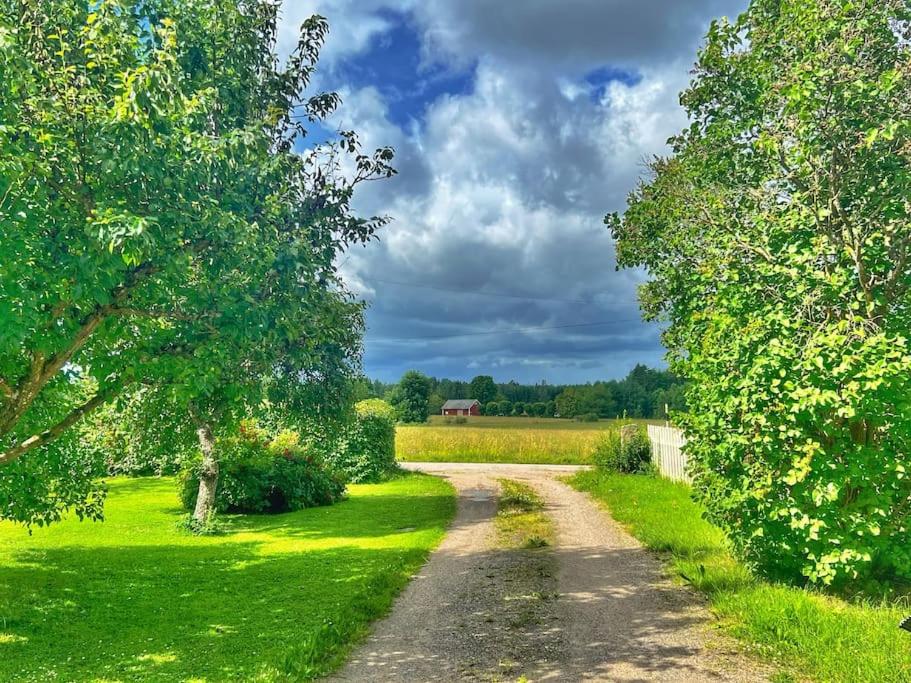 Hedehagens Hemlighet view 2