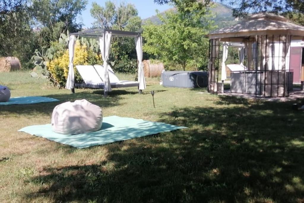 Photo 41