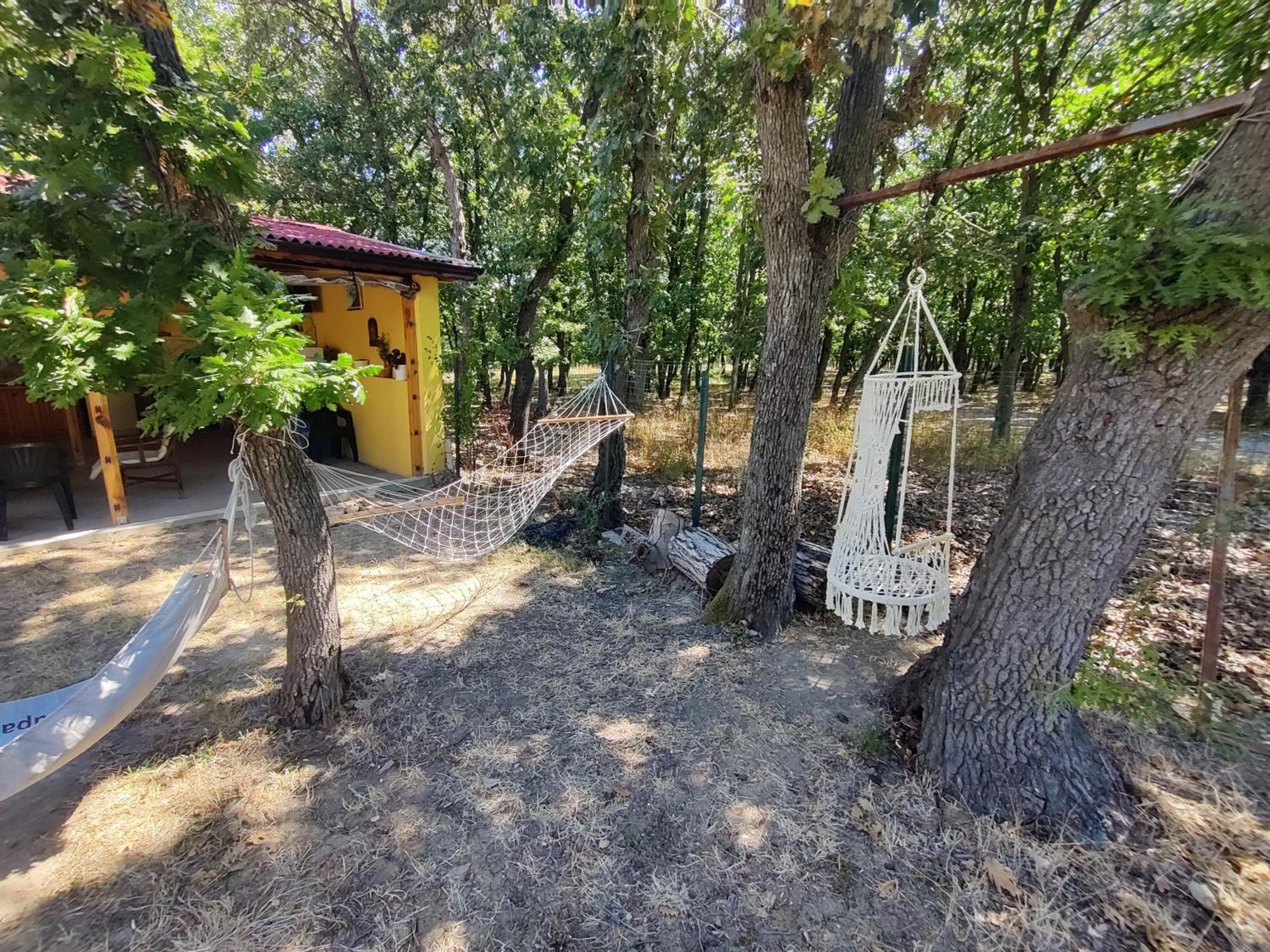 Sirius Guest House