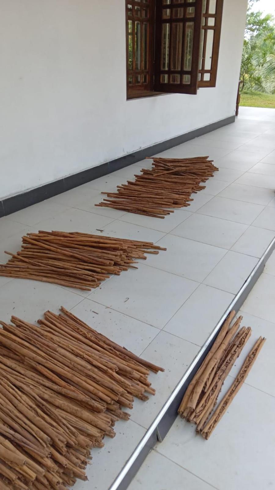 Marakanda tea banglow