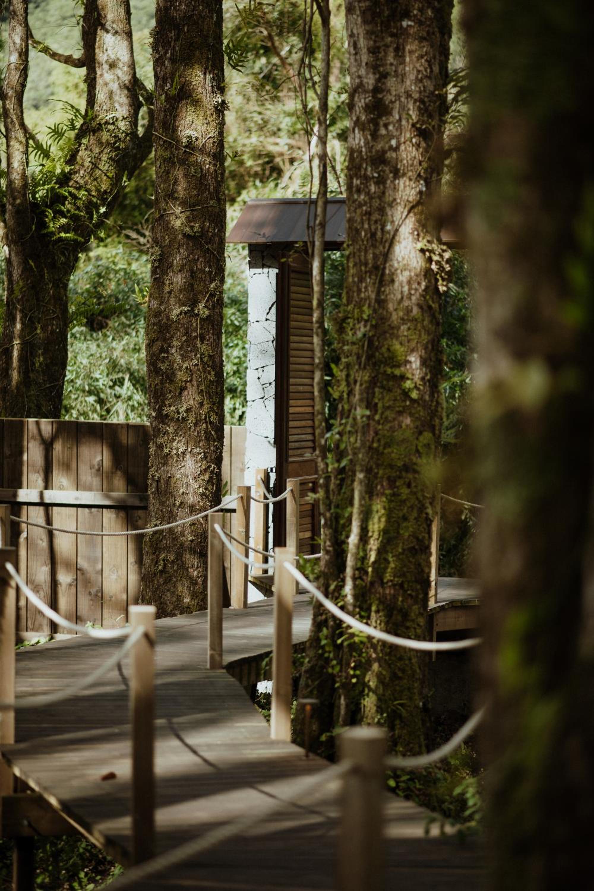 Kanopea Forest Lodge