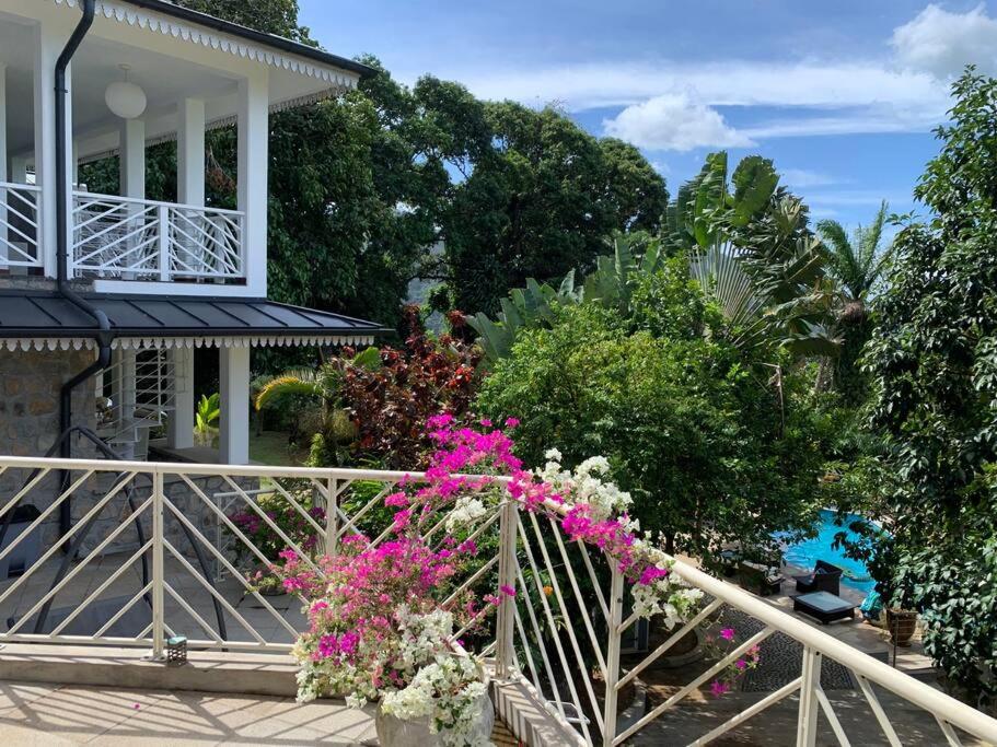 Maison de Jardin Villa view 5