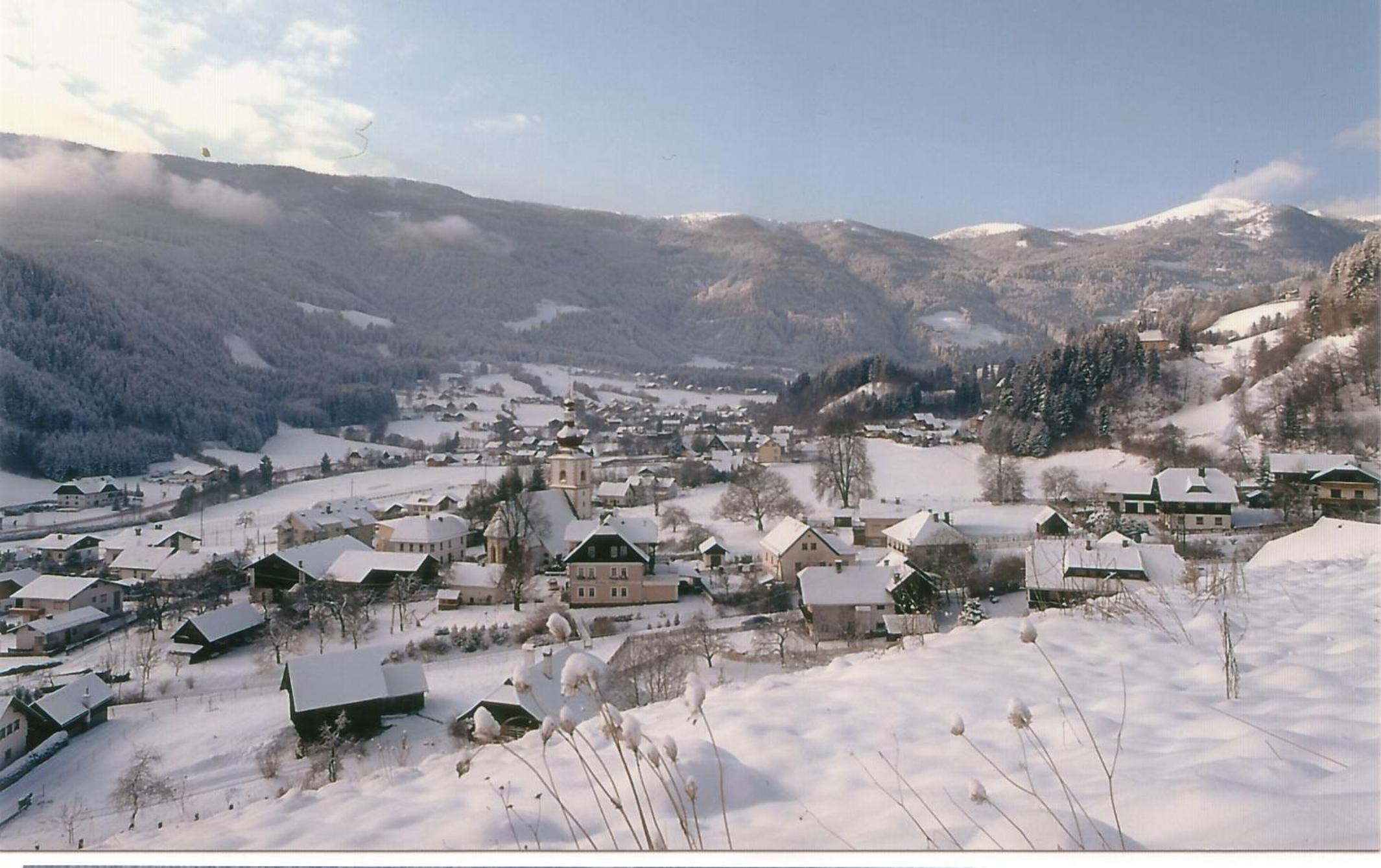 Kärnten Card inkludiert - Apartments nahe Bad Kleinkirchheim