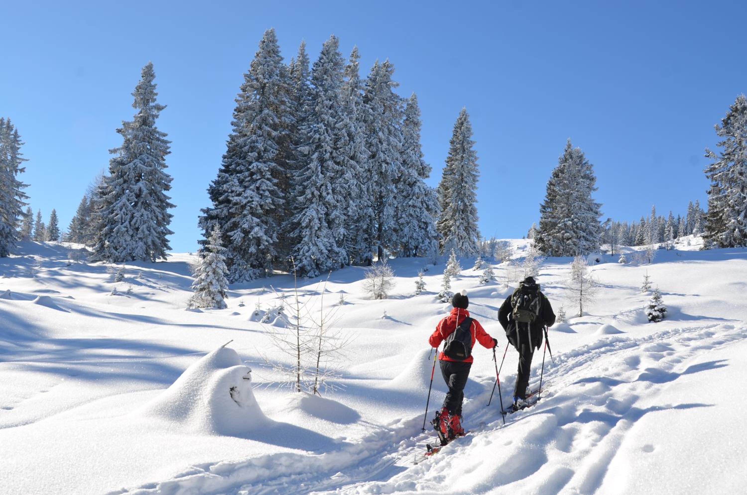 Kärnten Card inkludiert - Apartments nahe Bad Kleinkirchheim