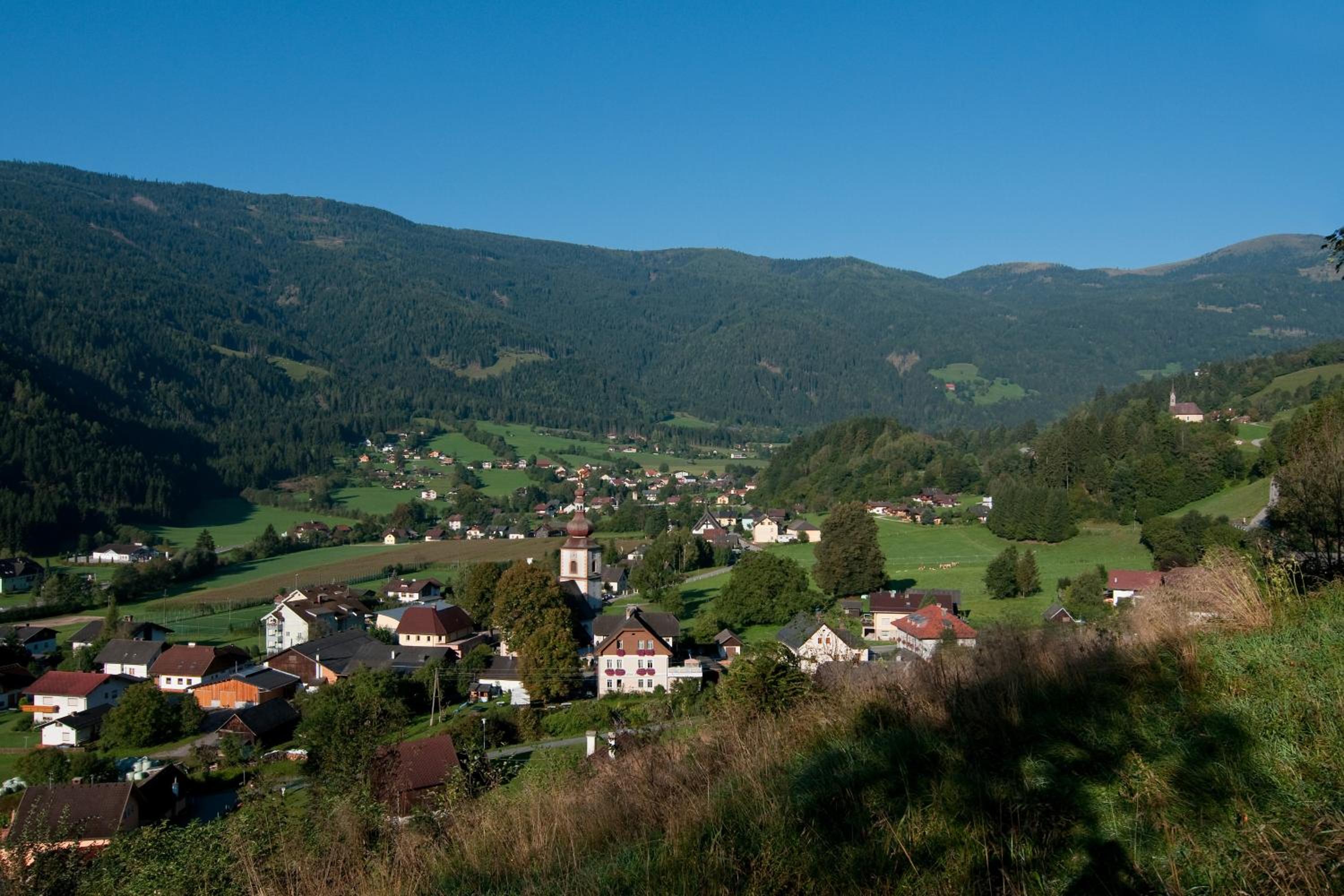 Kärnten Card inkludiert - Apartments nahe Bad Kleinkirchheim