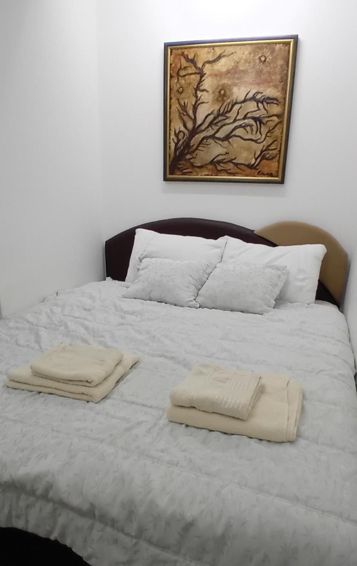 Apartman CENTAR Marija view 3
