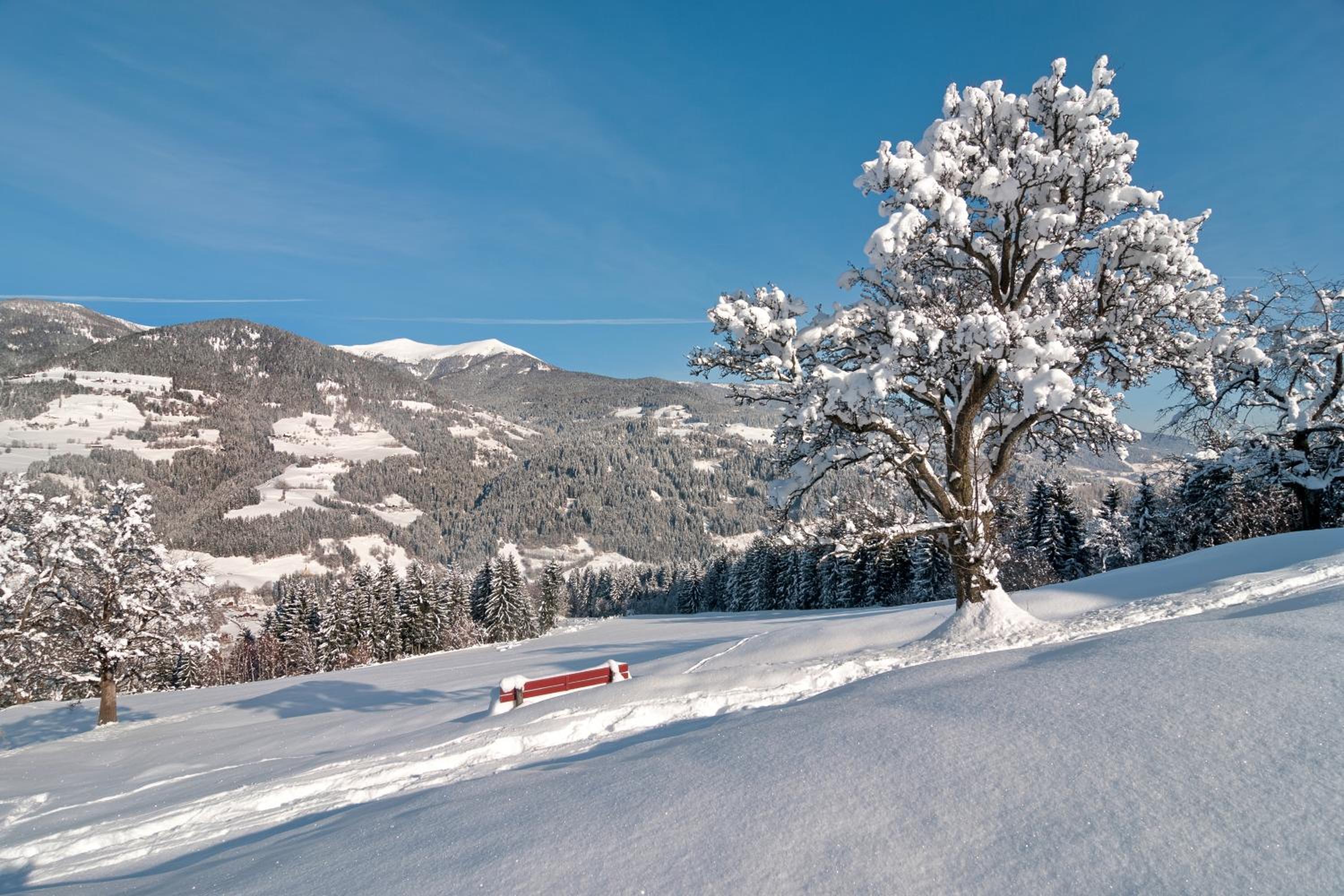 Kärnten Card inkludiert - Apartments nahe Bad Kleinkirchheim