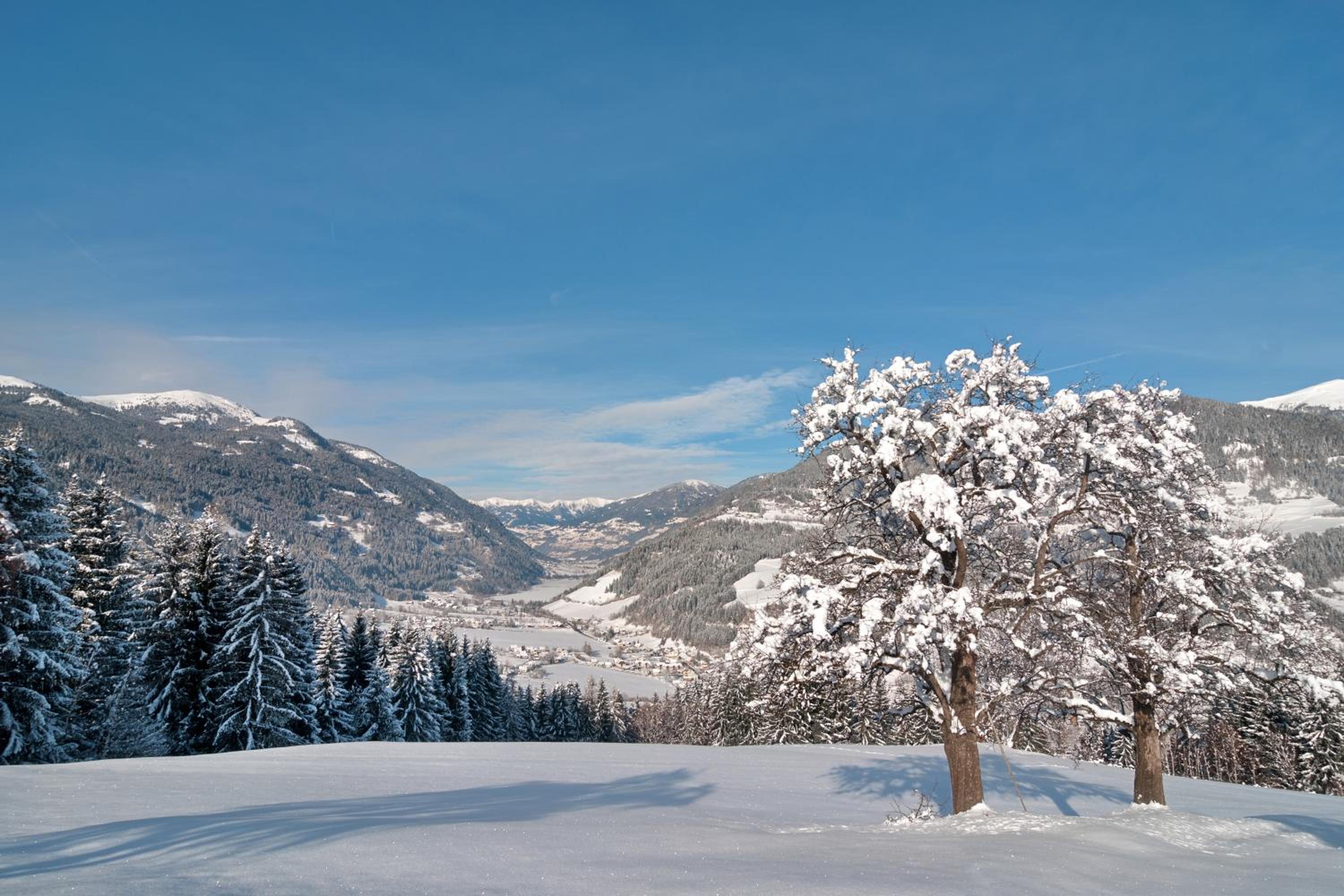 Kärnten Card inkludiert - Apartments nahe Bad Kleinkirchheim