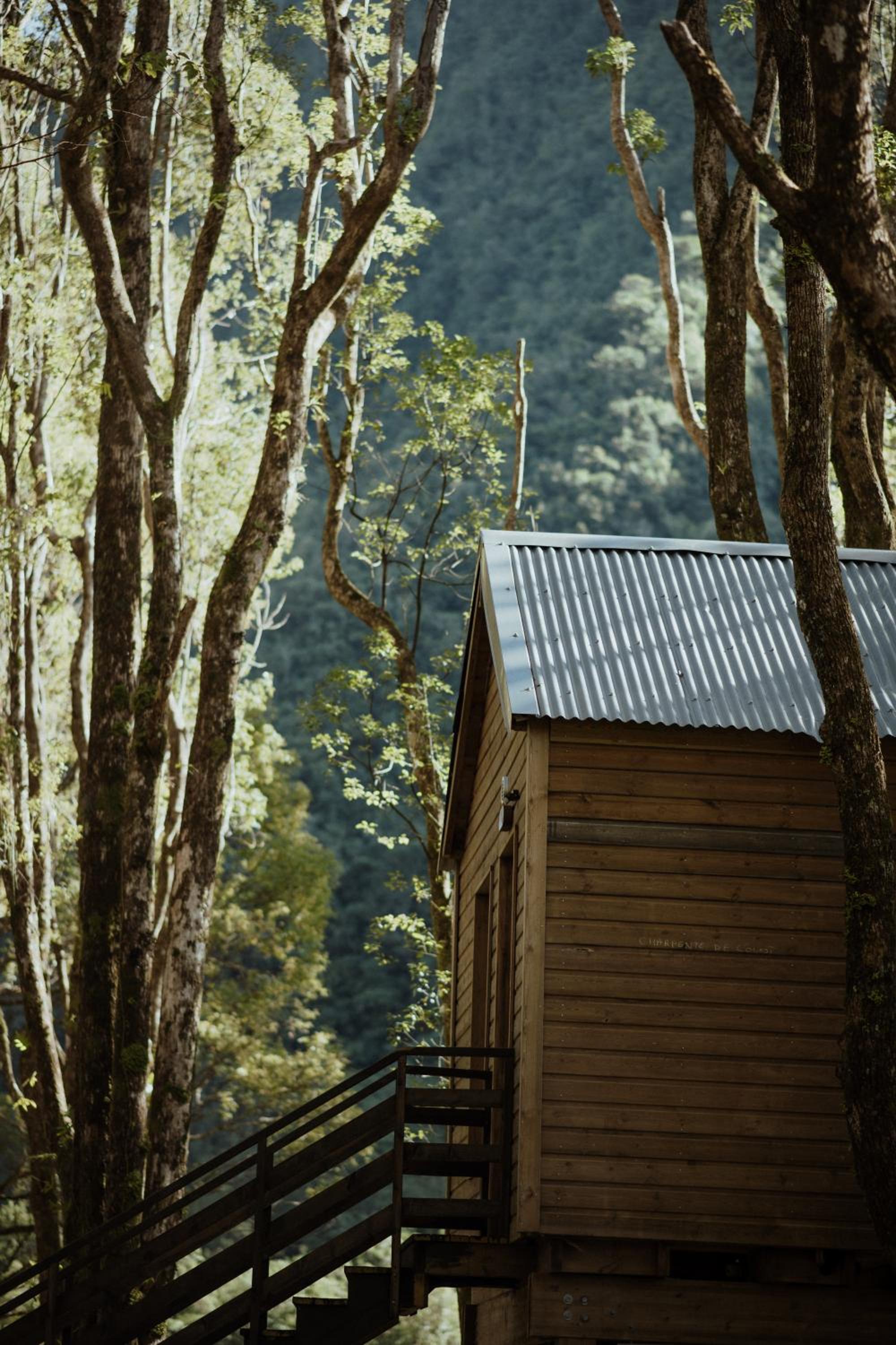 Kanopea Forest Lodge