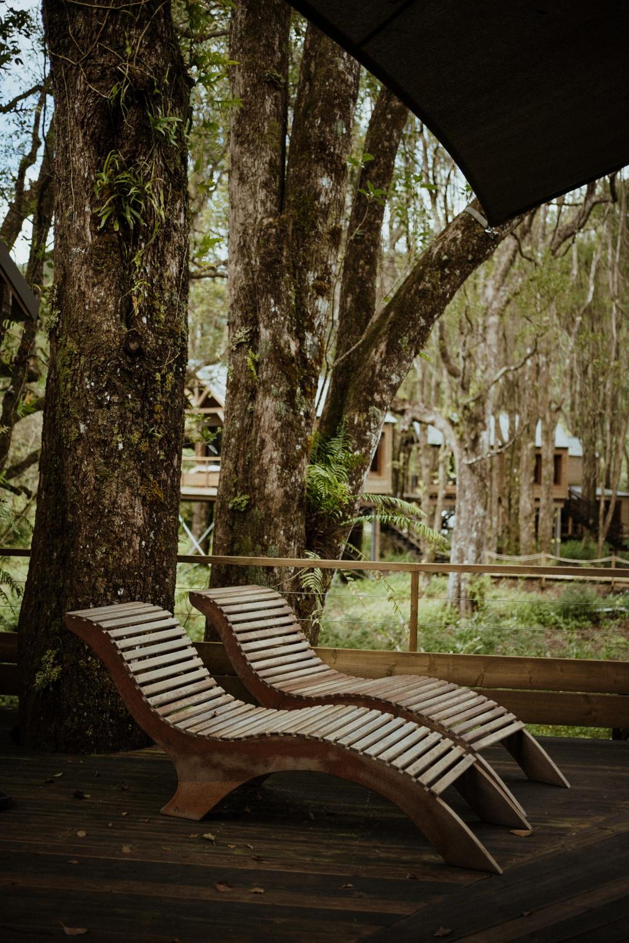 Kanopea Forest Lodge