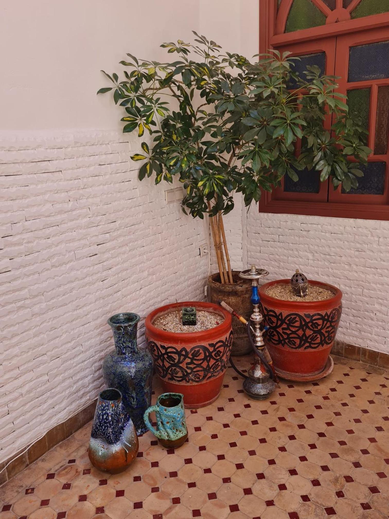 Riad Dantella