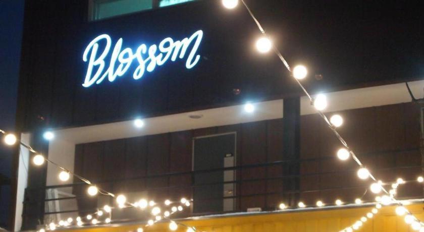 Blossom Pension view 3