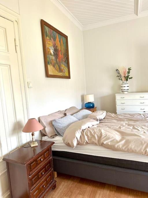 Authenic Art Nouveau Apartment in the city-center view 5