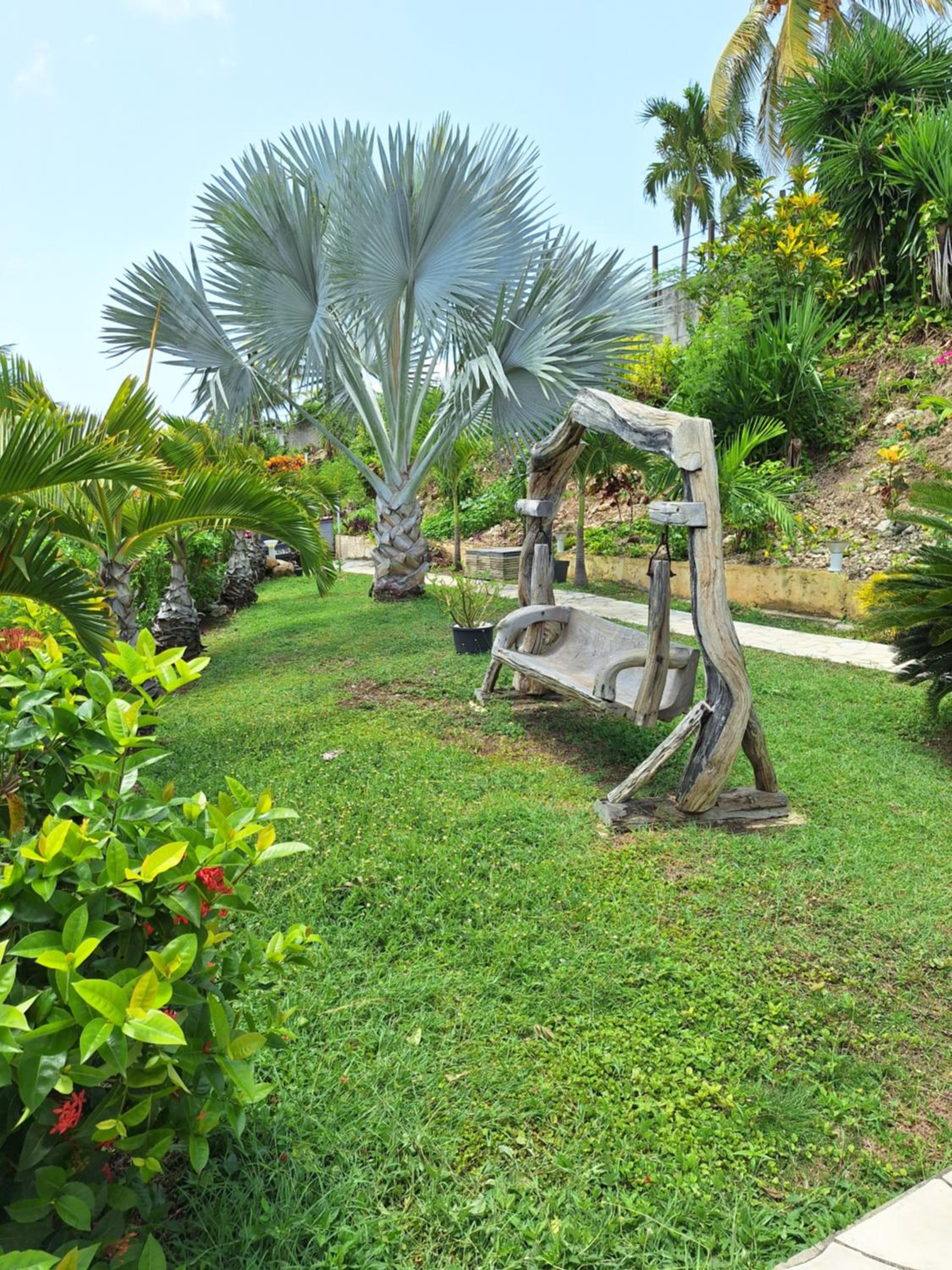 Villa Muscade guadeloupe, piscine, vue mer et accès plage view 5