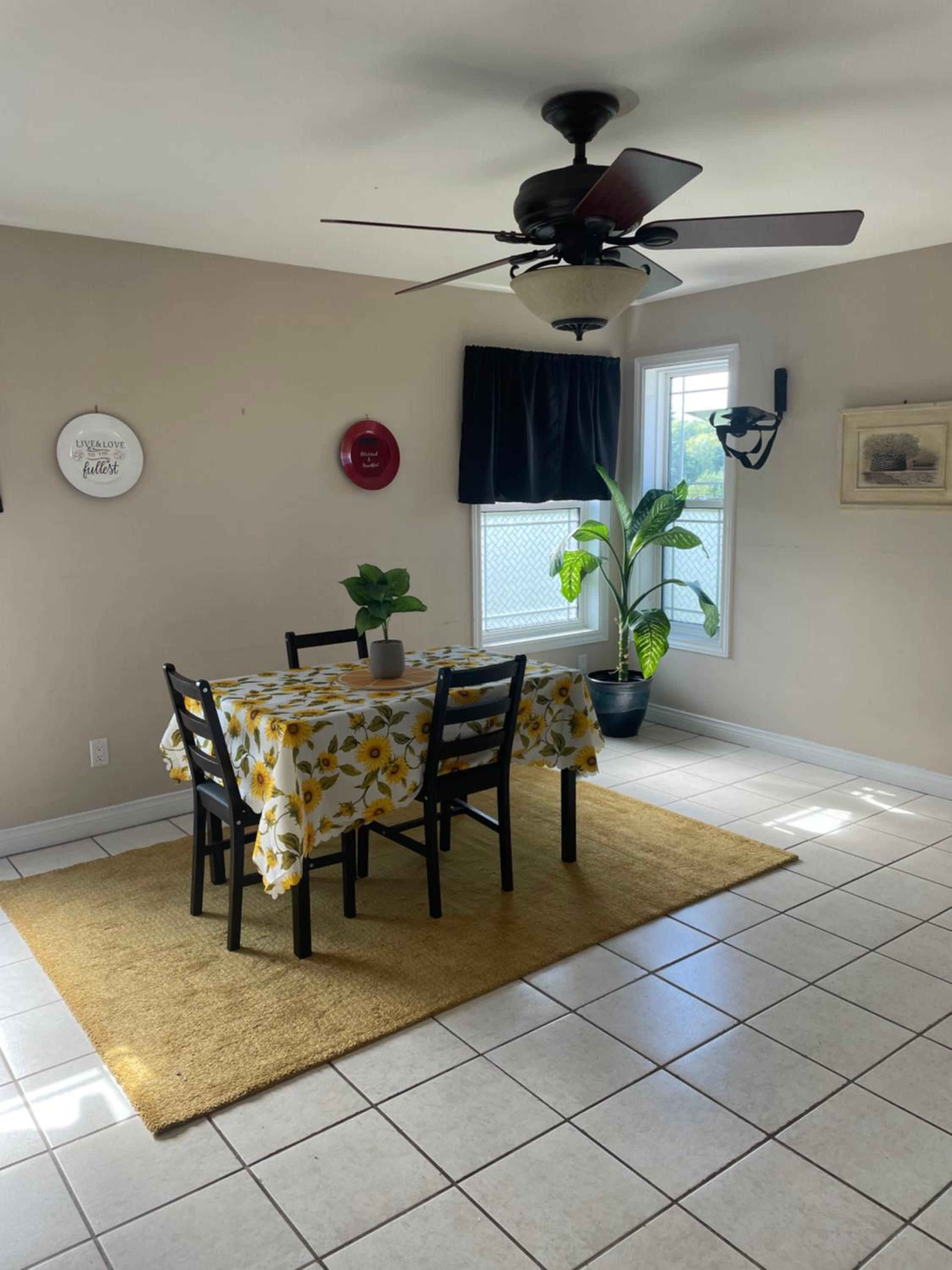 Executive one bedroom apartment including pull out sofa bed