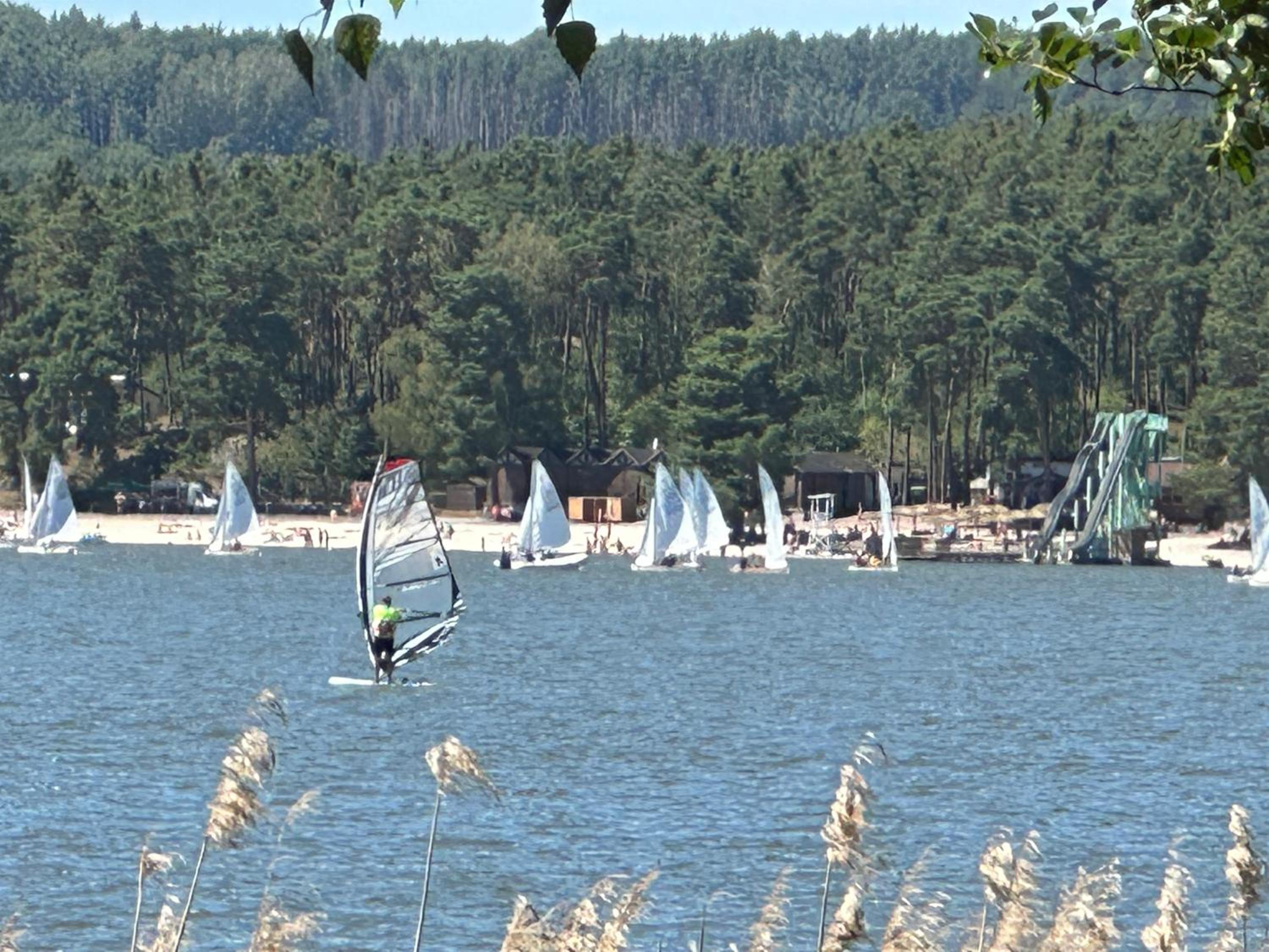 Chatky U Františka Máchovo jezero