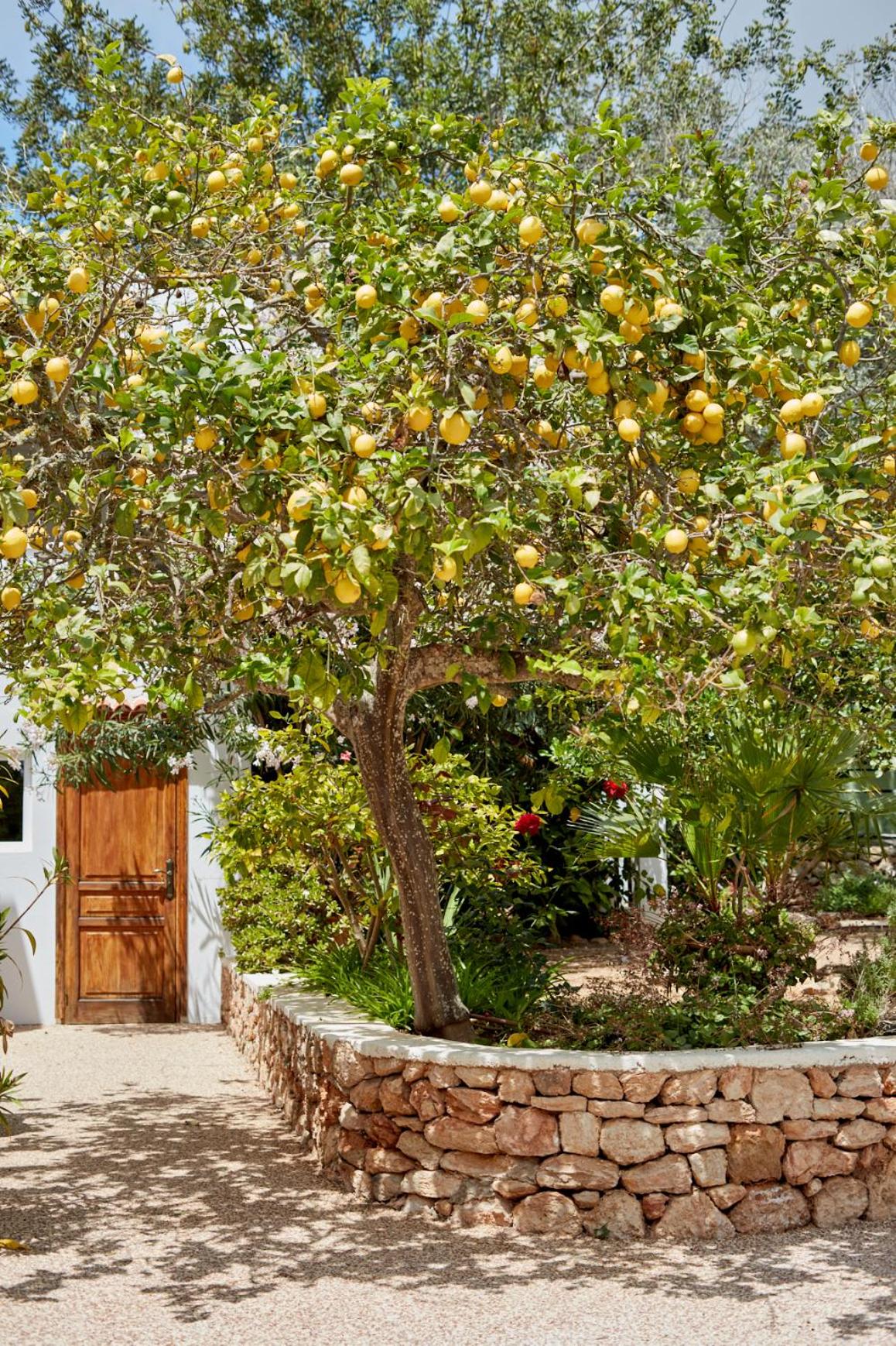 Valley Club Ibiza - Boutique Agroturismo