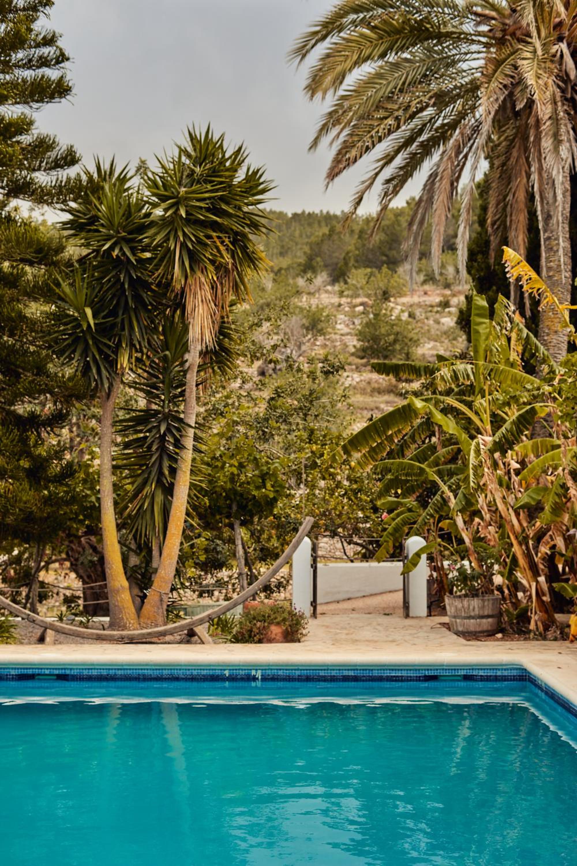 Valley Club Ibiza - Boutique Agroturismo