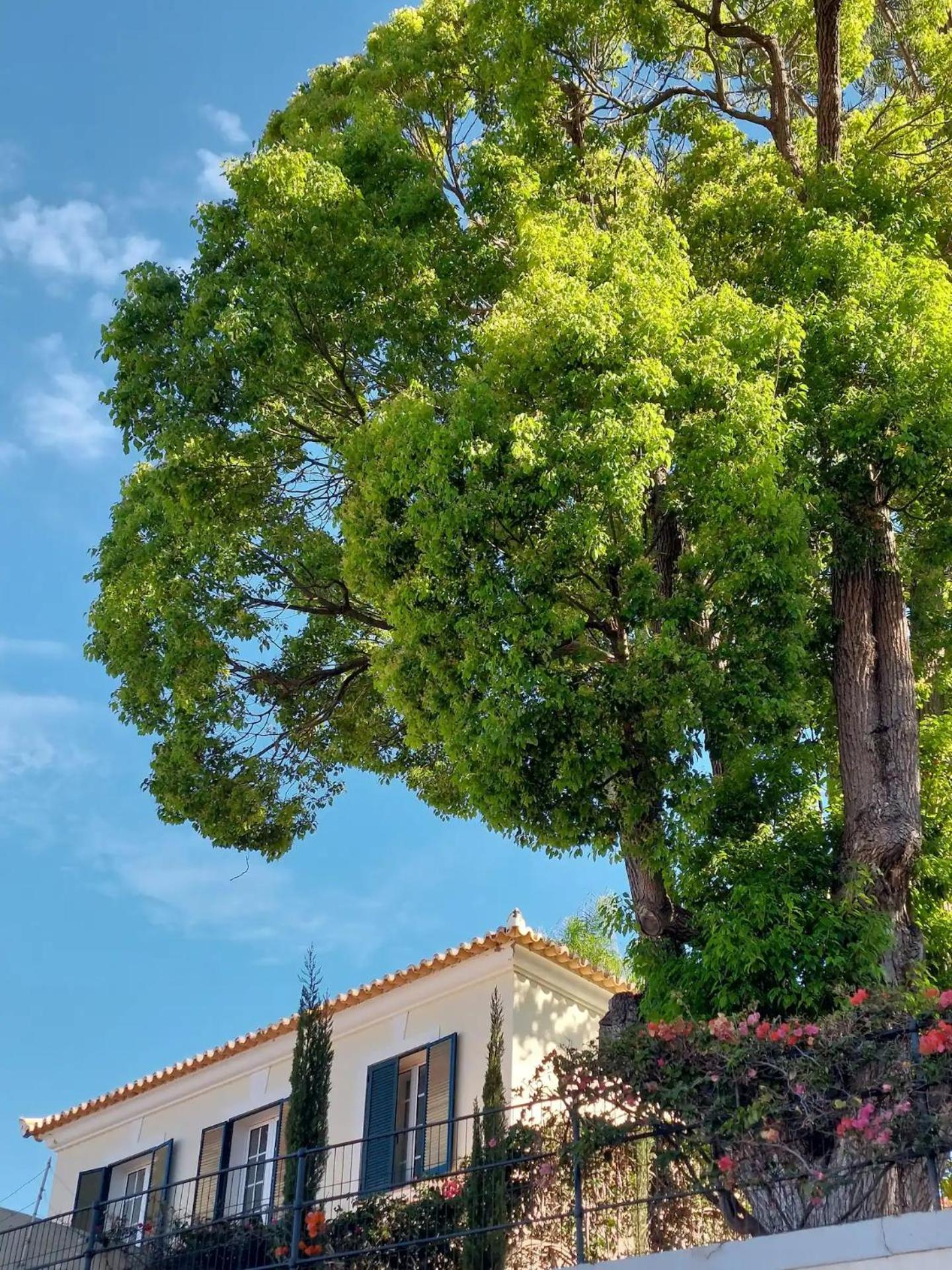 Villa Carvalhal