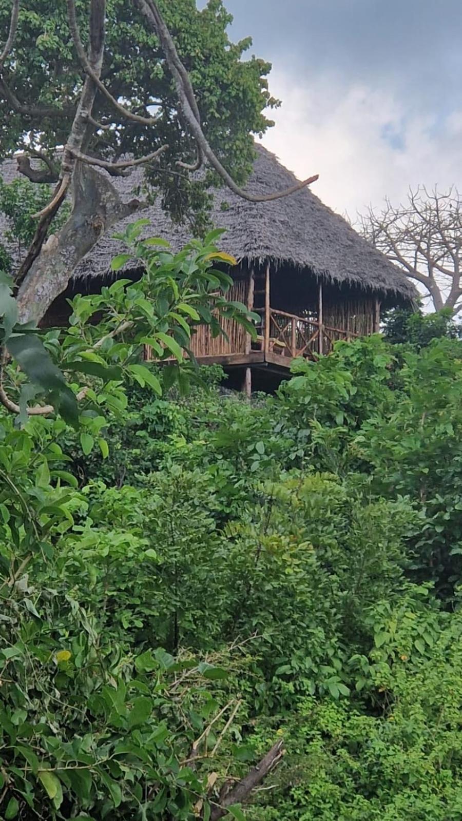 MONKEY MOUNTAIN LODGE