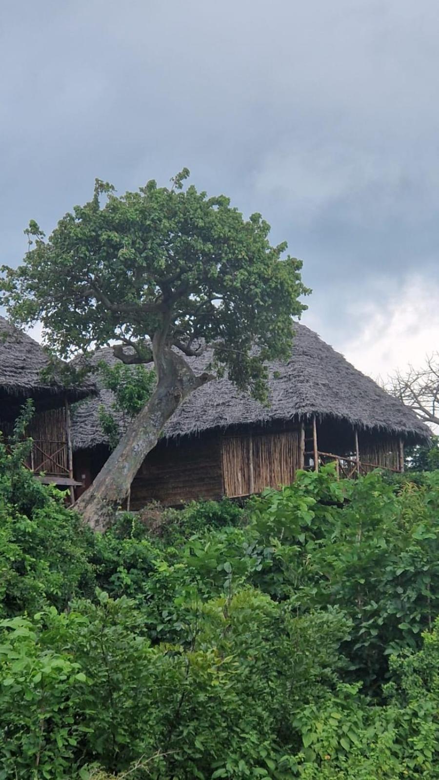 MONKEY MOUNTAIN LODGE