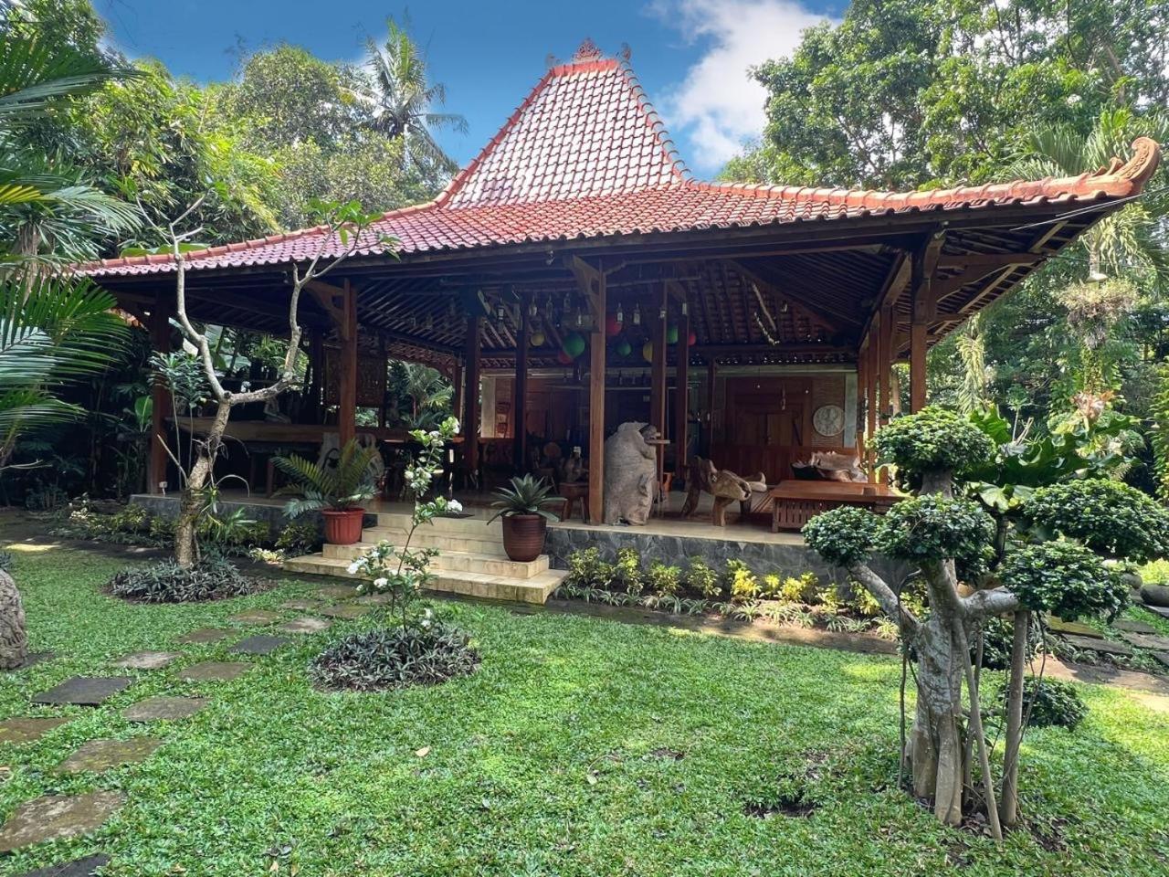 Dream Village