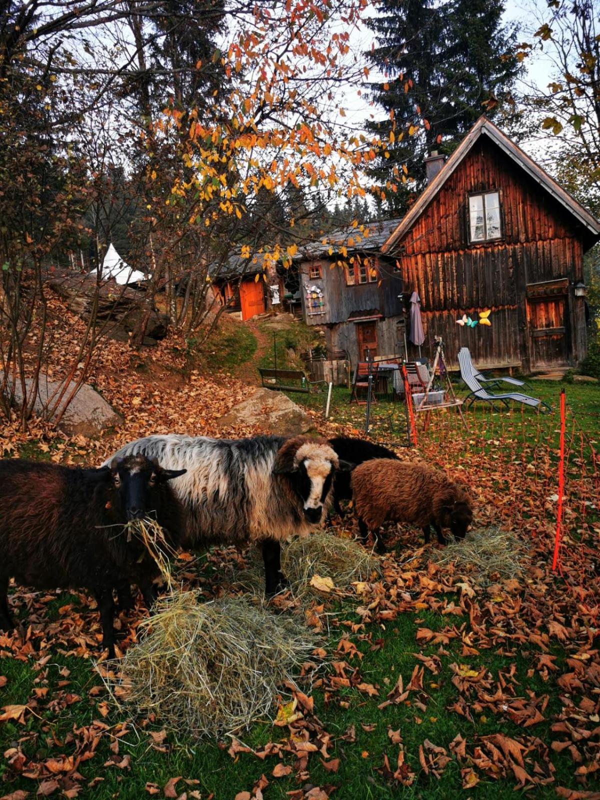 Schell-Hütte