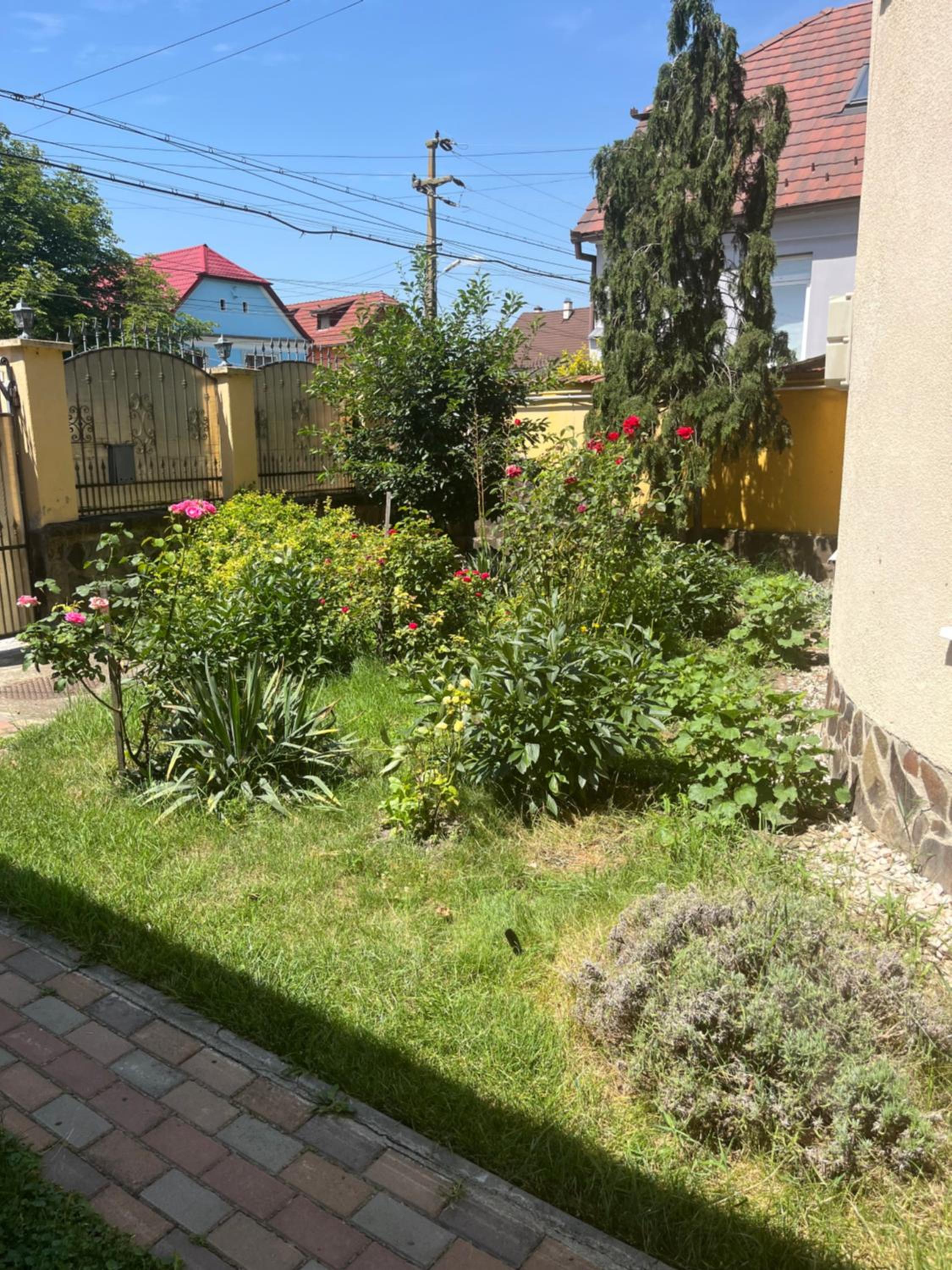 Photo 9