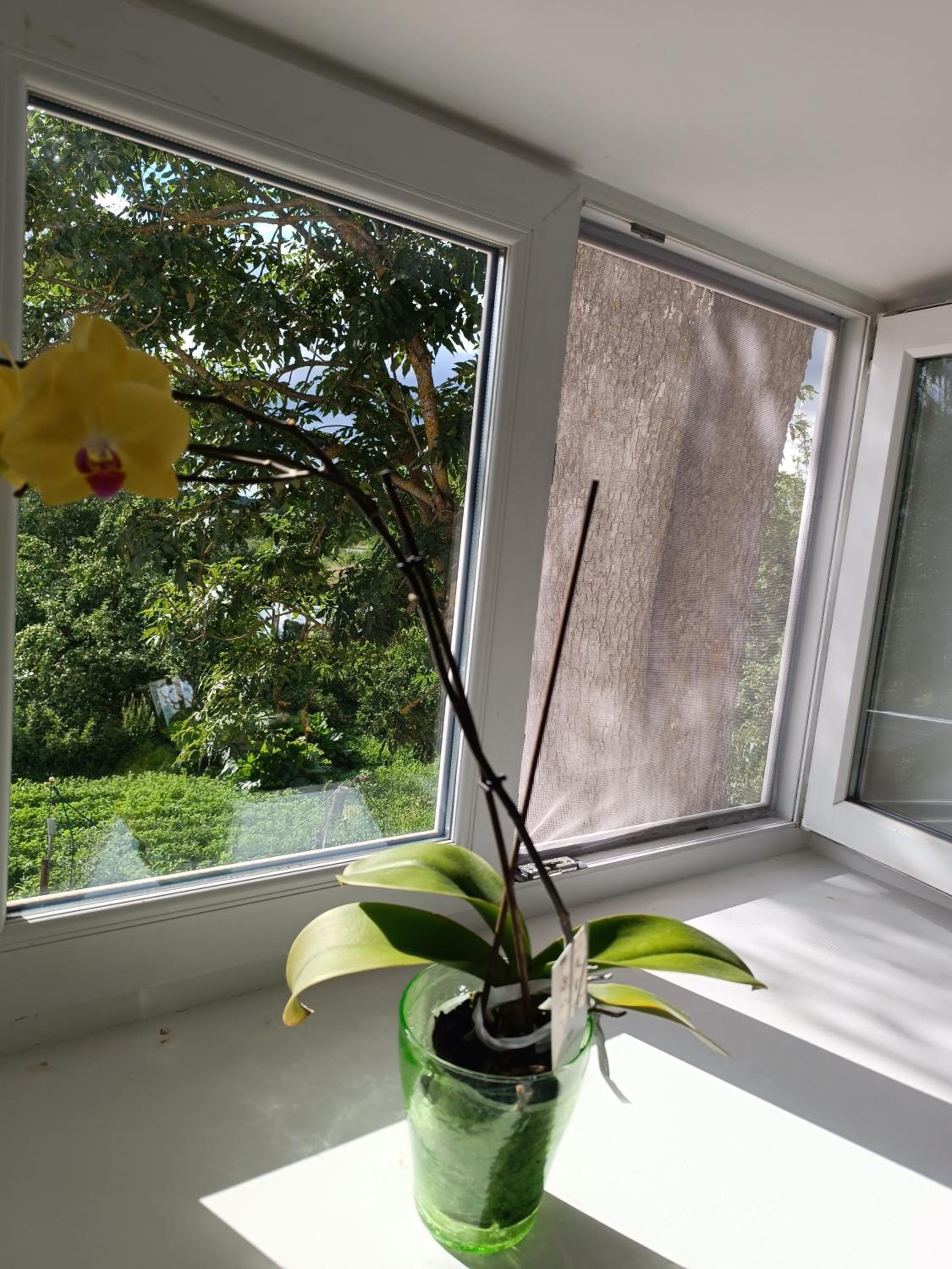 Mäo Apartment