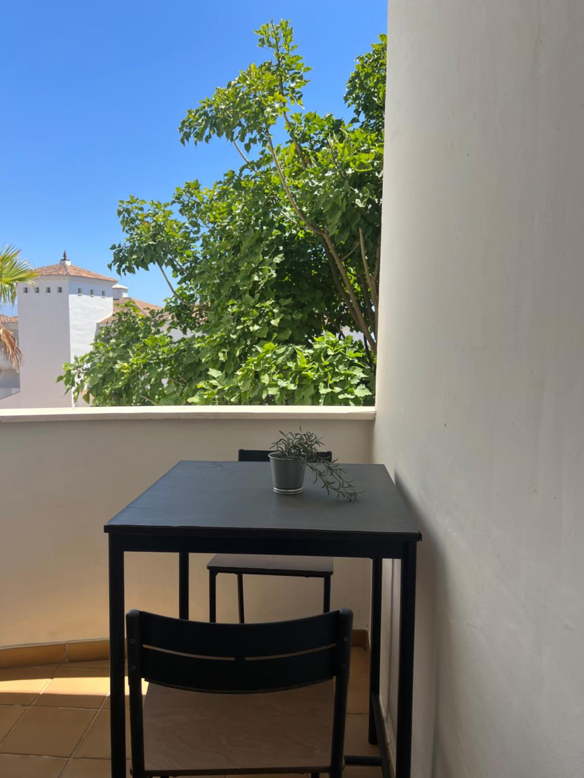 Small Oasis I Apartament