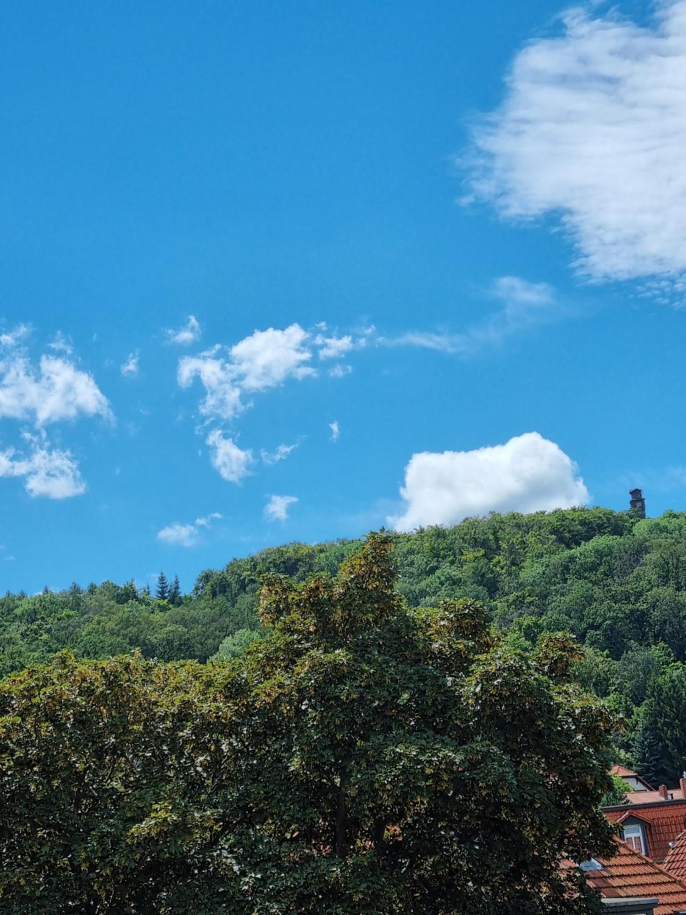 Mehr-Blick