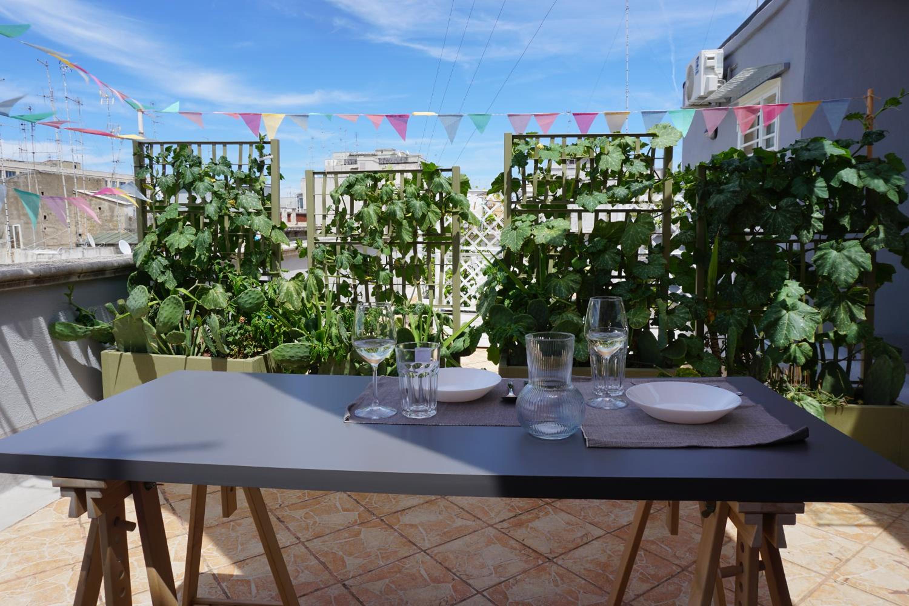 balance & terrace
