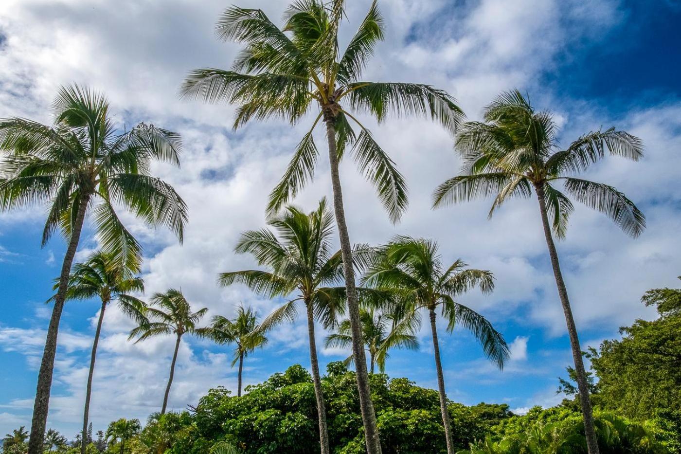 Kahala at Poipu Kai 123