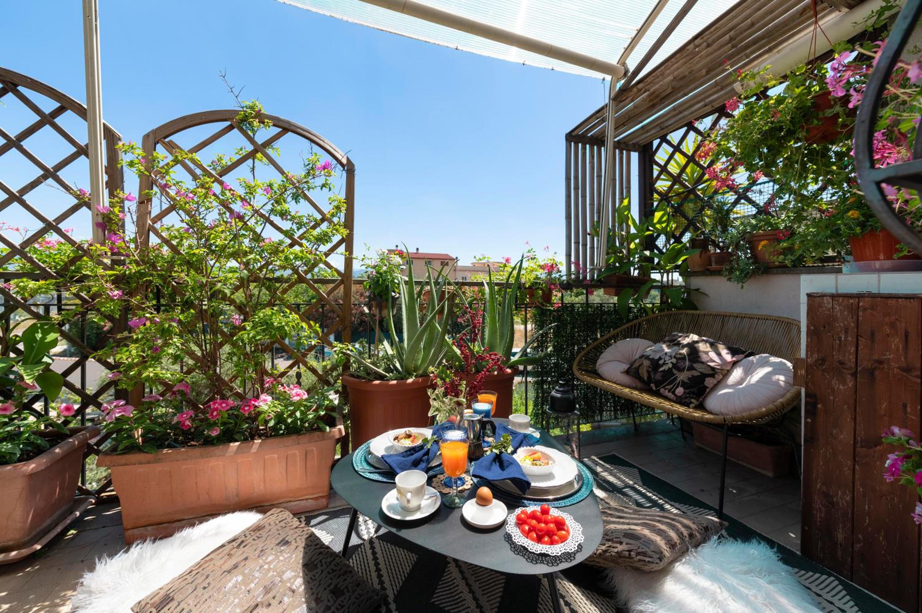 balance & terrace