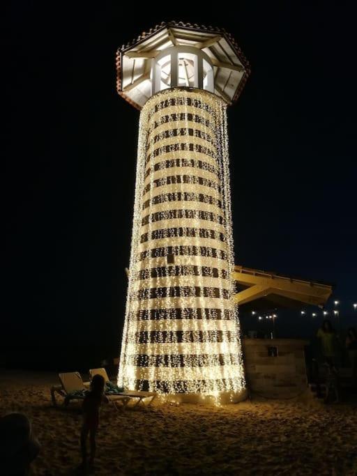 Caribbean Star in Estrella Dominicus