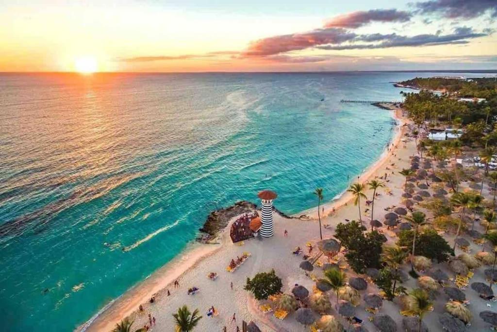 Caribbean Star in Estrella Dominicus