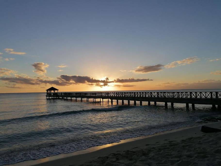 Caribbean Star in Estrella Dominicus