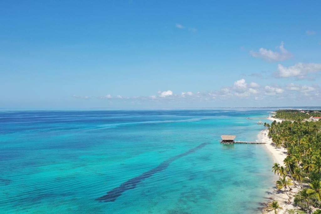 Caribbean Star in Estrella Dominicus