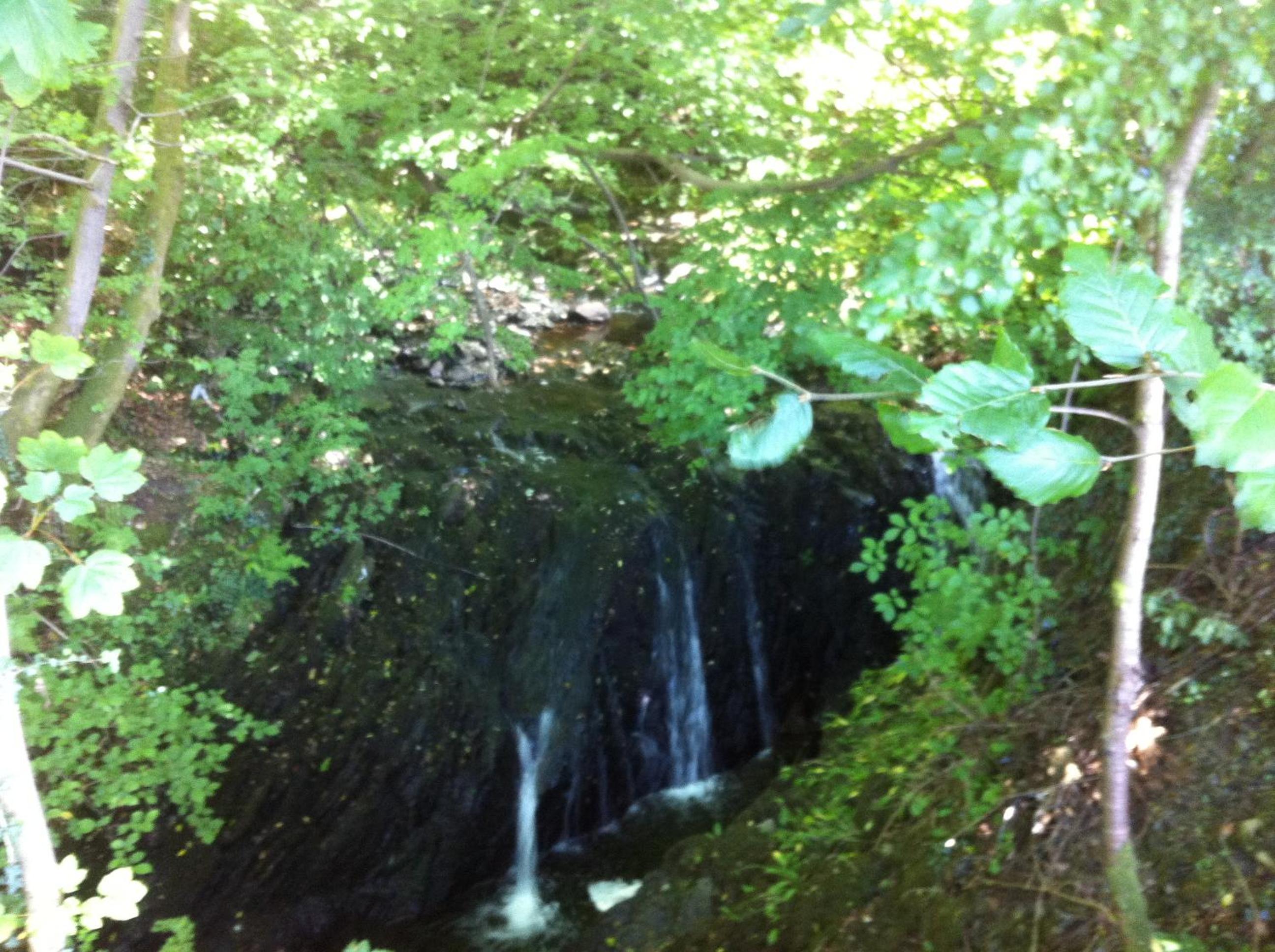 Photo 13