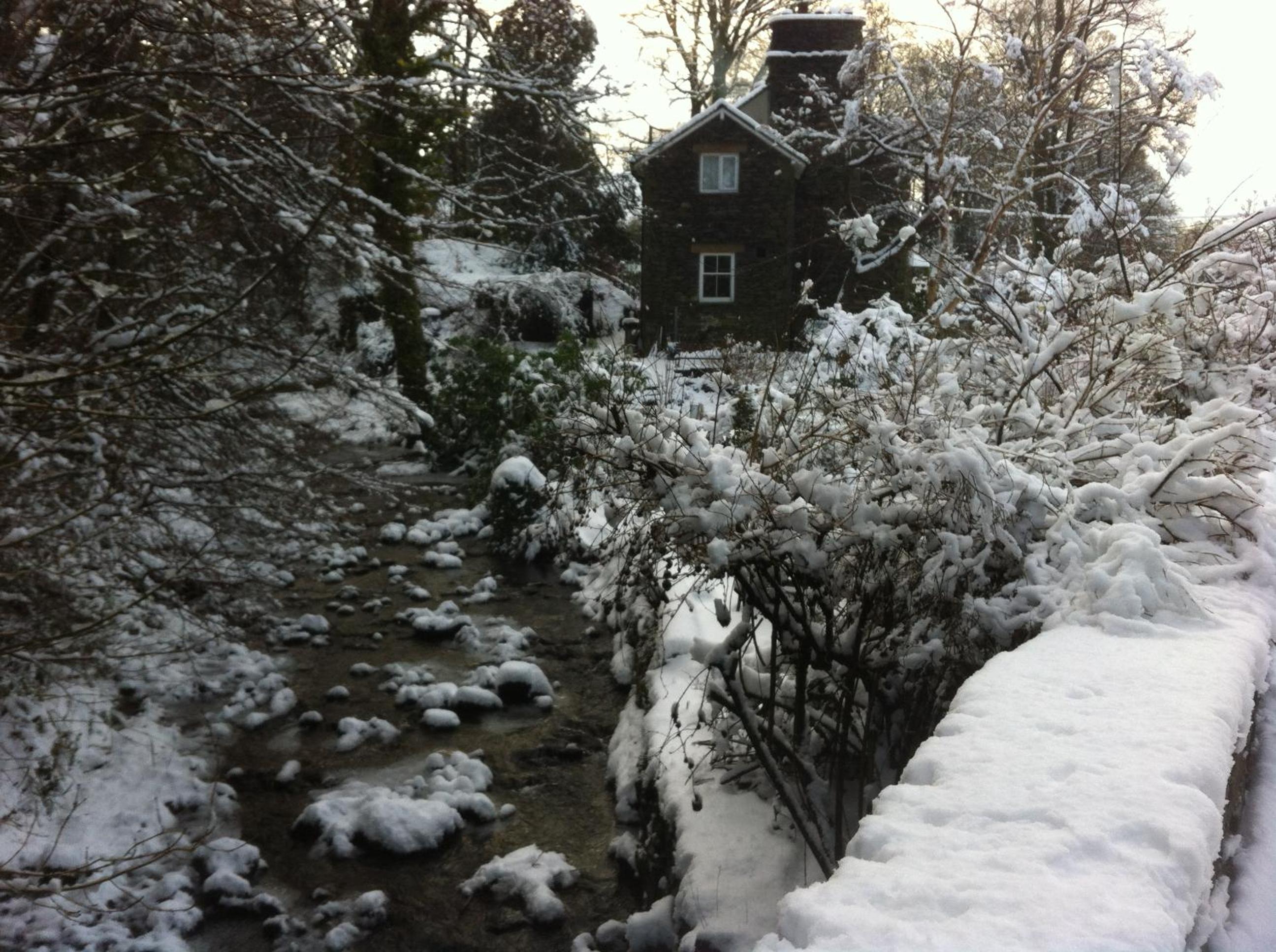 Photo 14