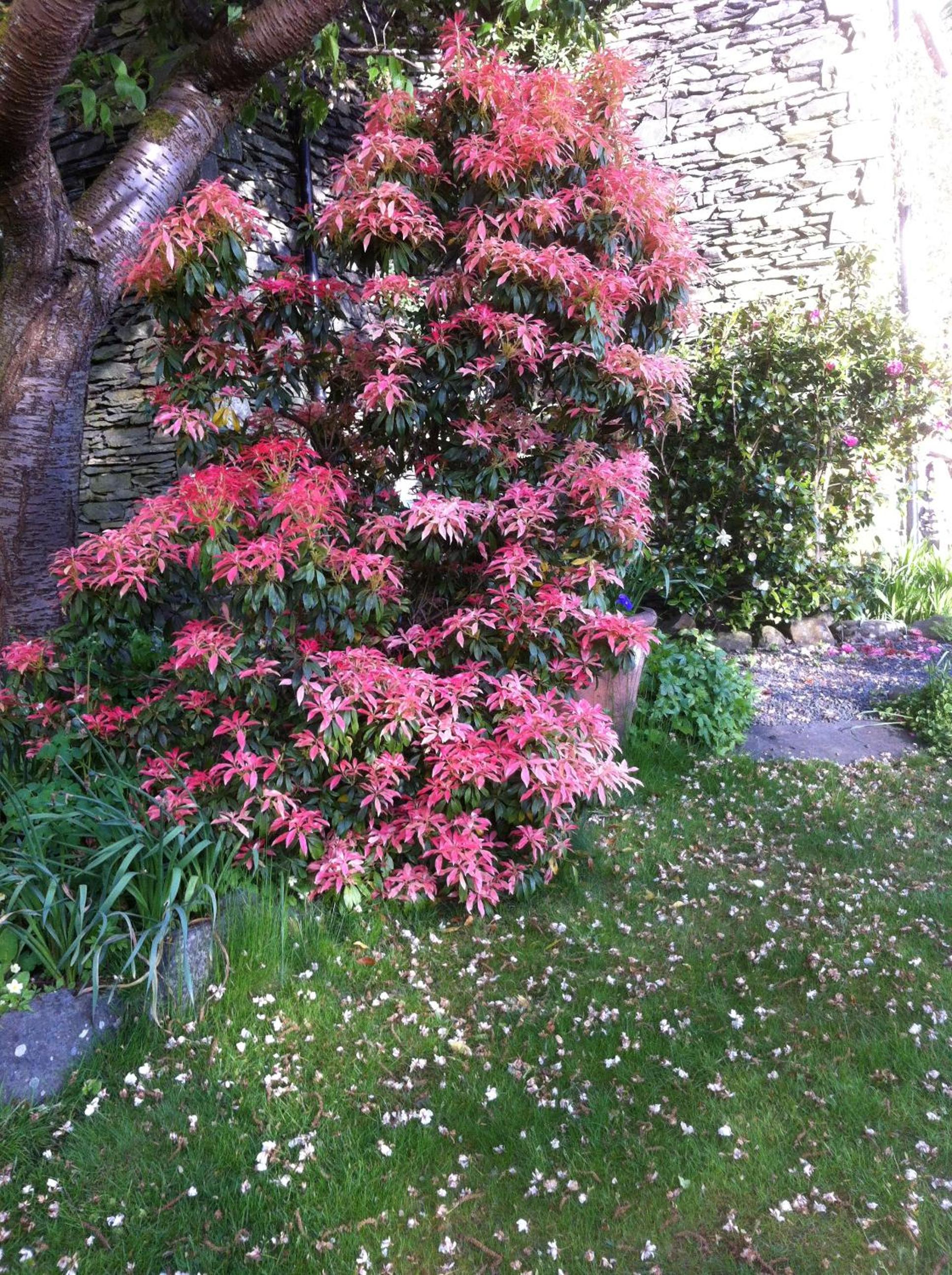 Photo 15