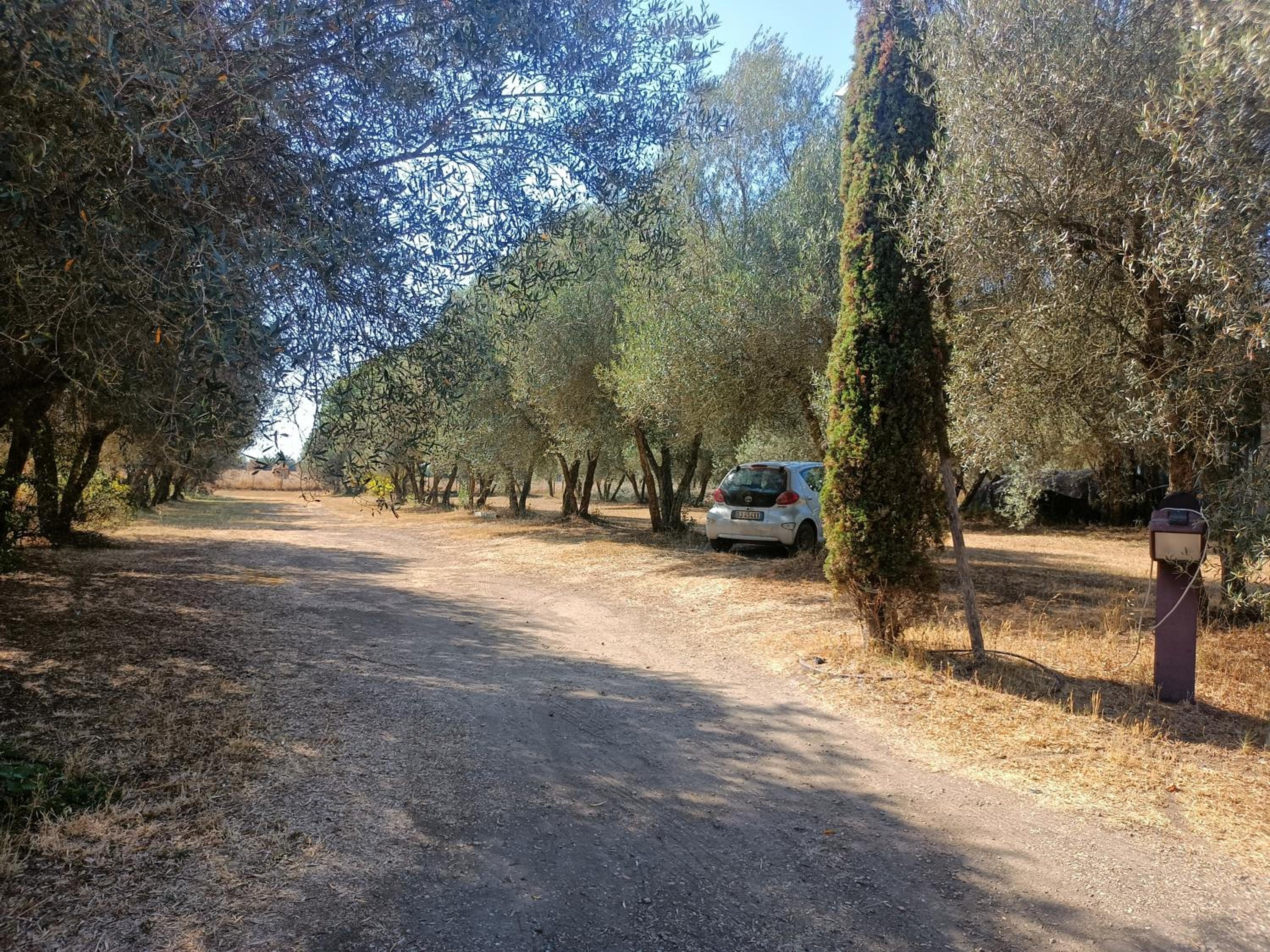 Il Giardino nell'Orto