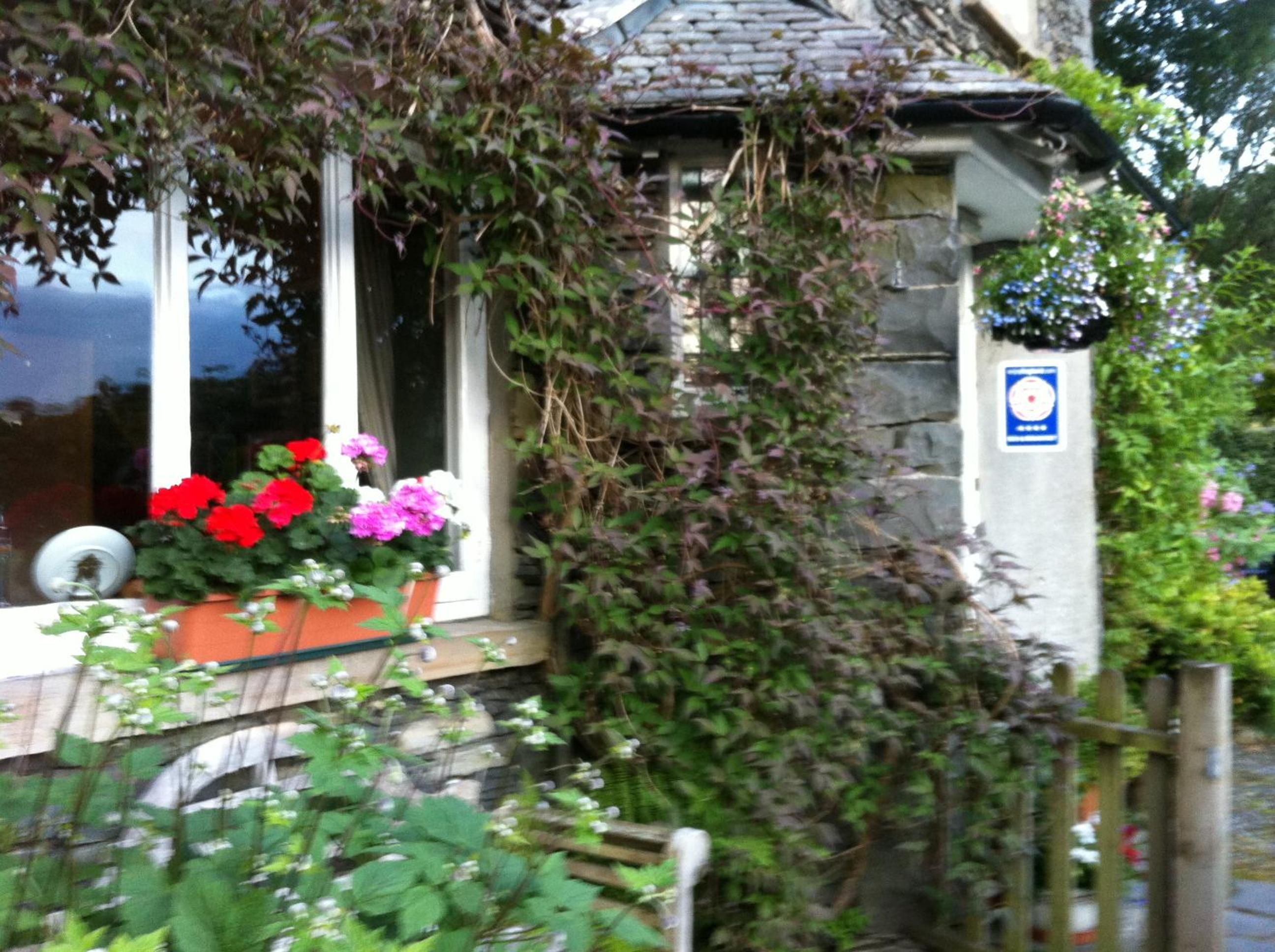Photo 19