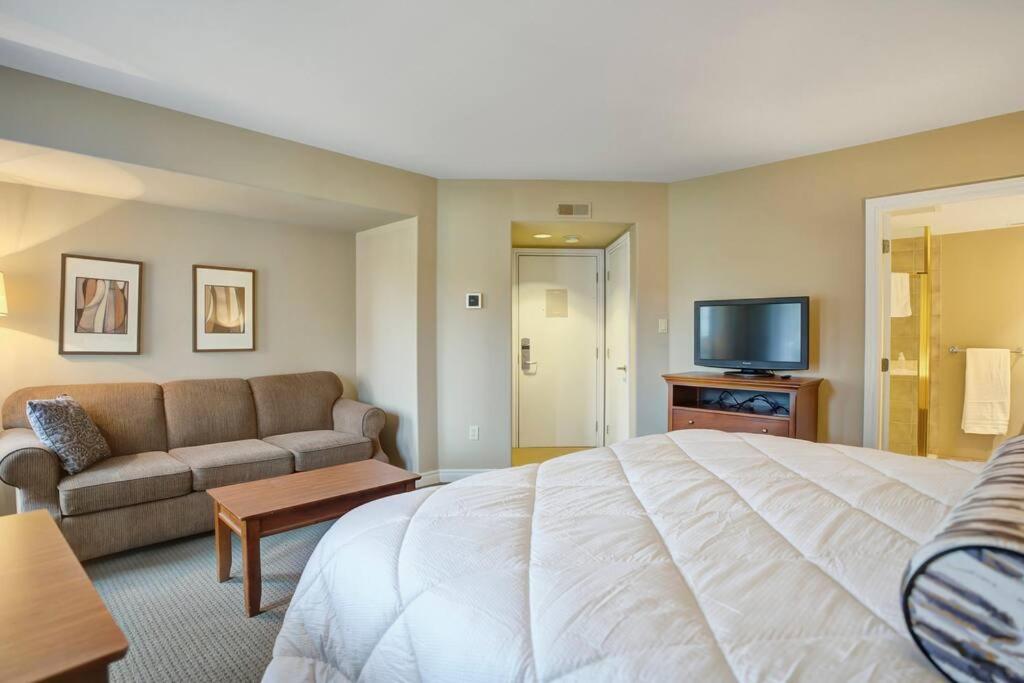 Cozy king bed Suite - pullout couch - Pool on grounds