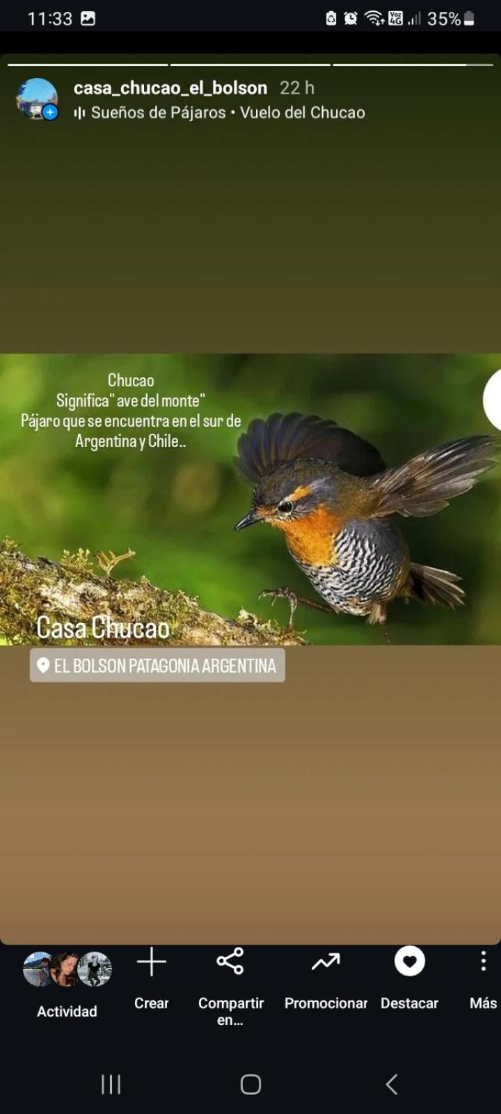 Casa en la Montaña, Casa Chucao
