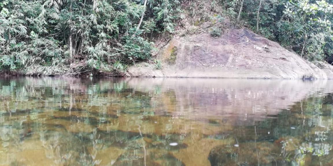 Birder's Lodge -Sinharaja