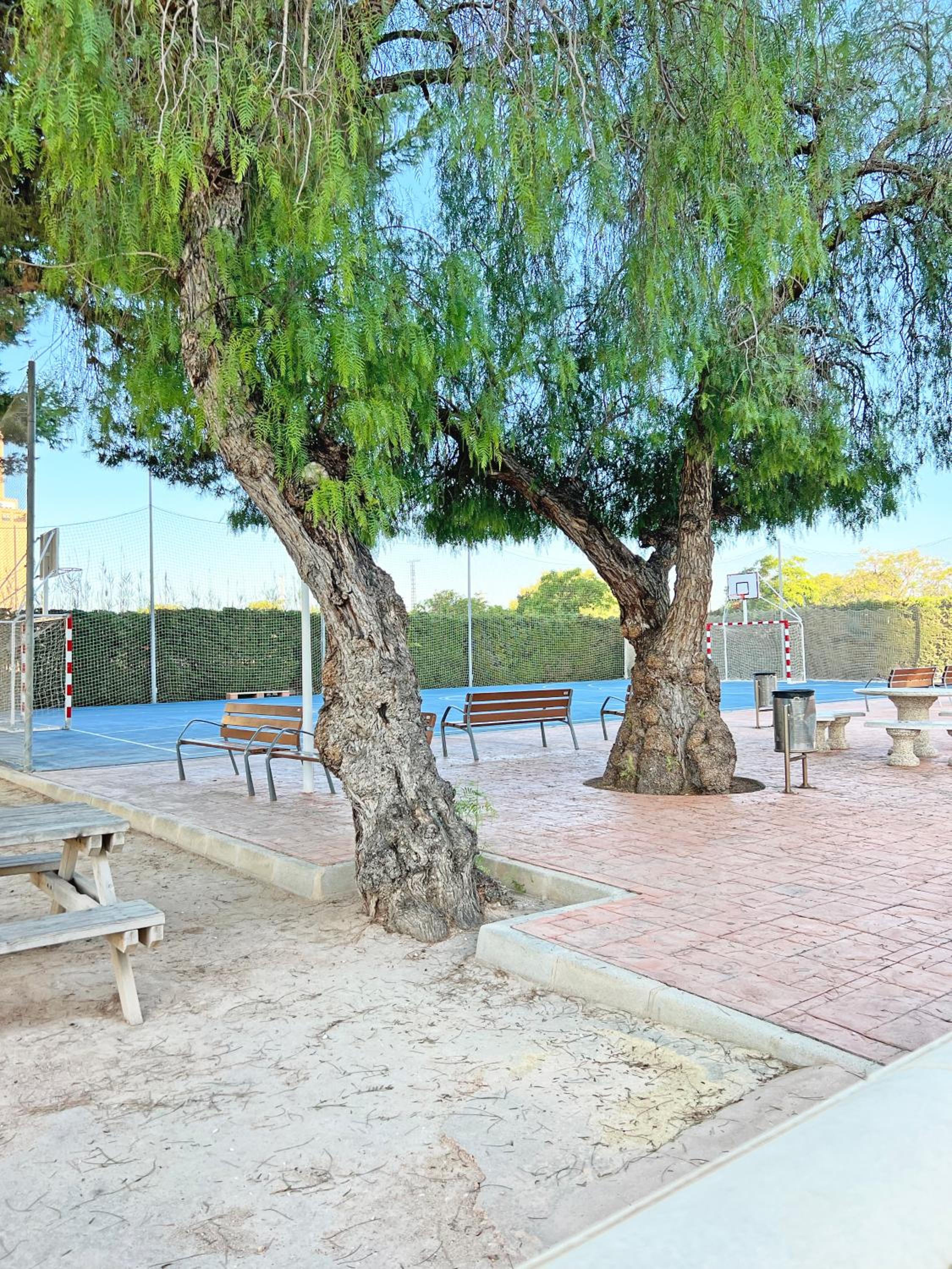 Photo 15